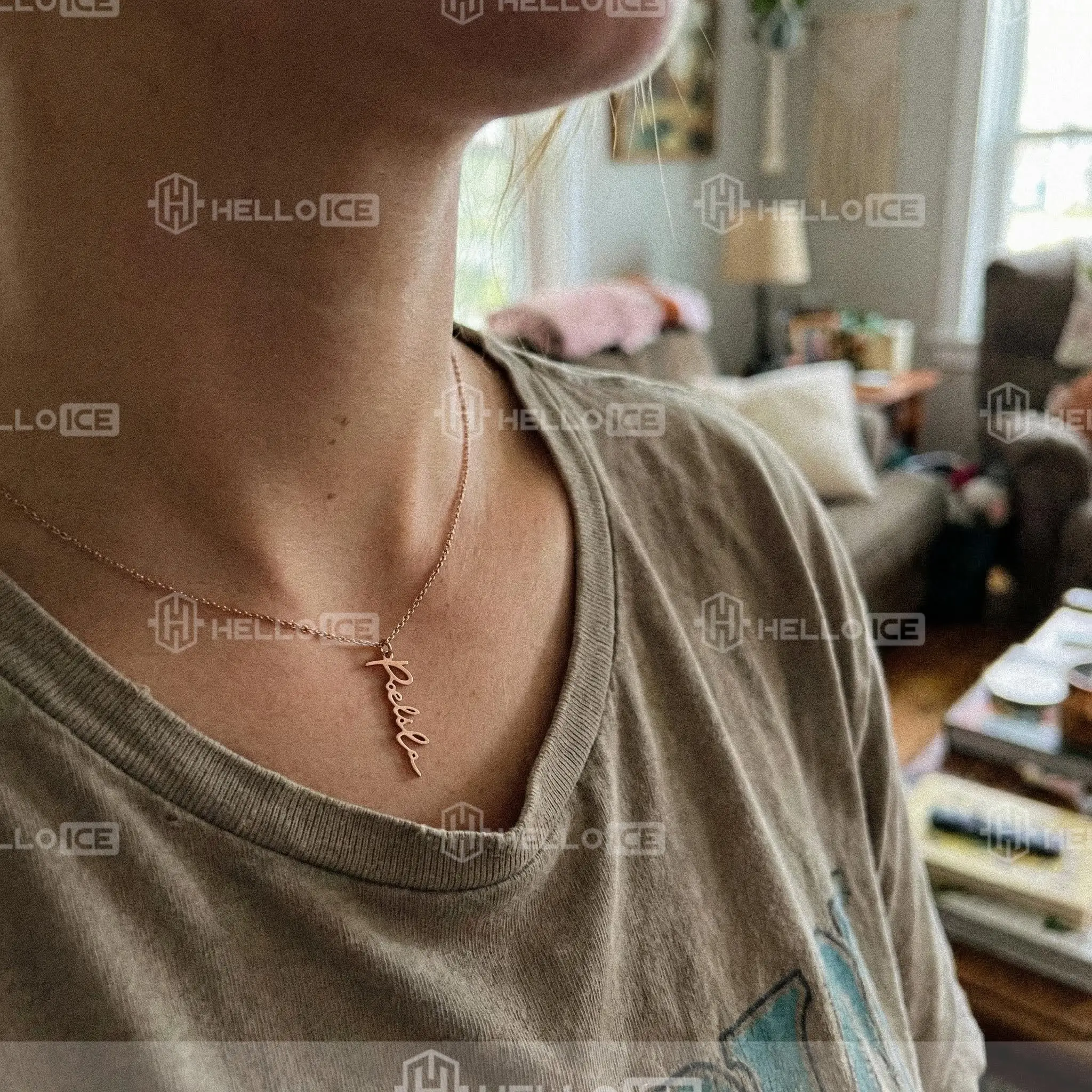 Helloice Review Image