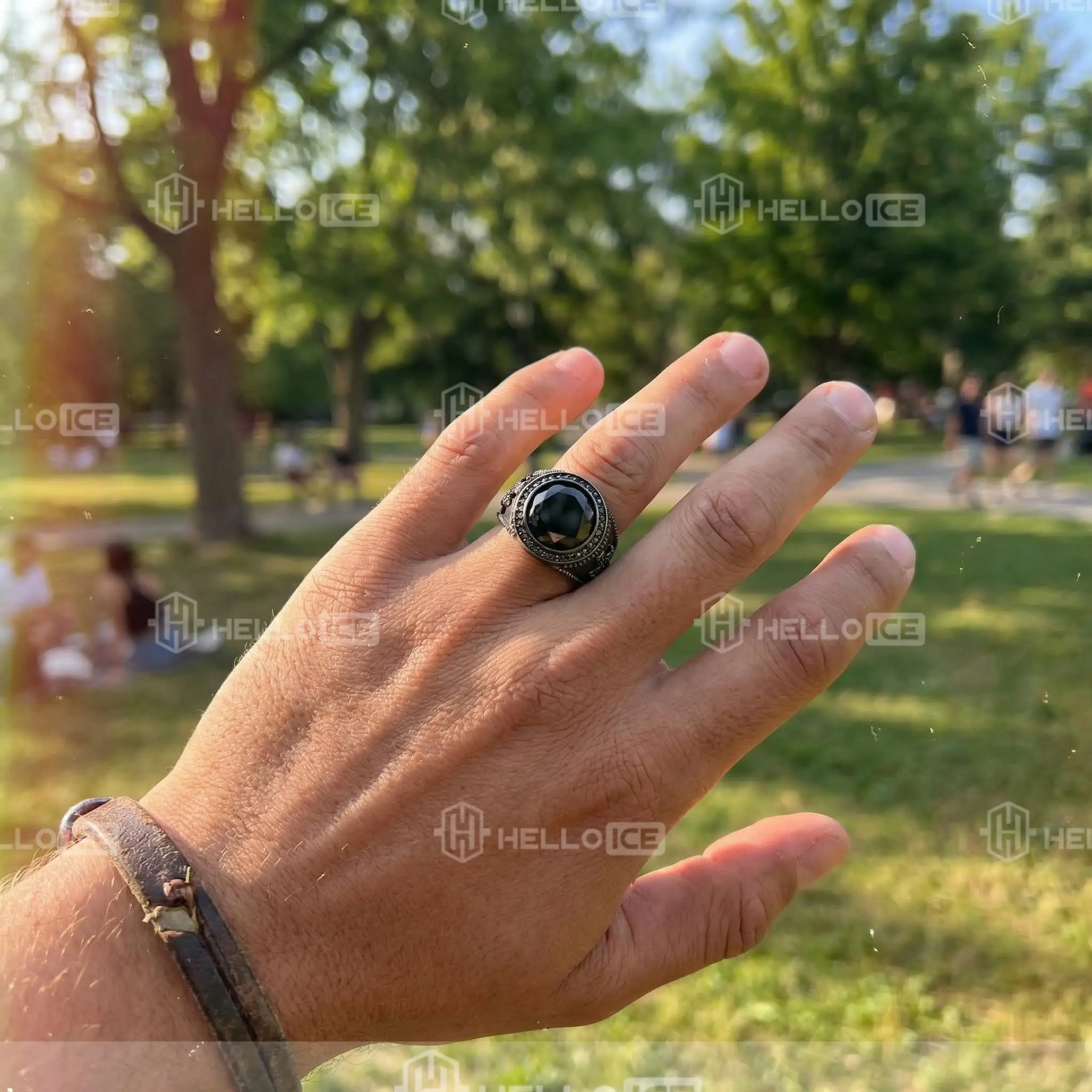 Helloice Review Image