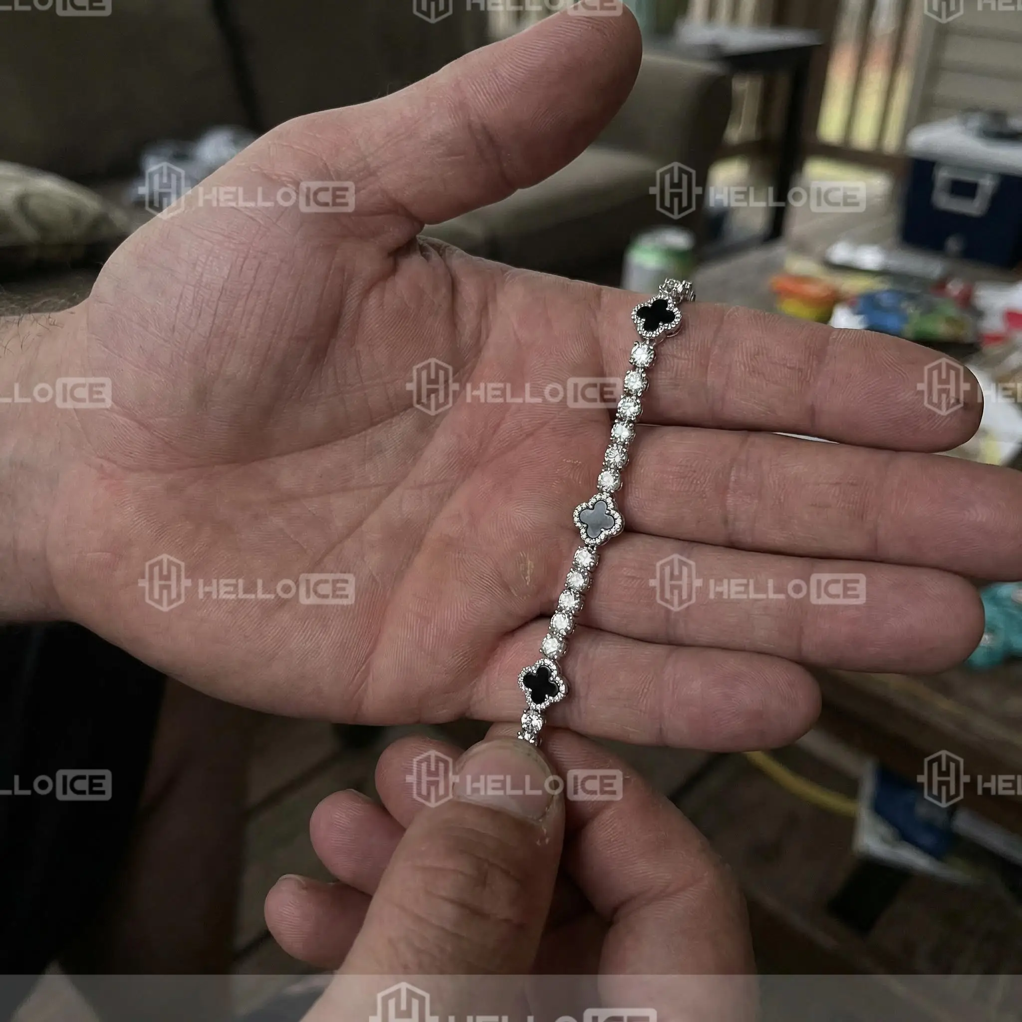 Helloice Review Image