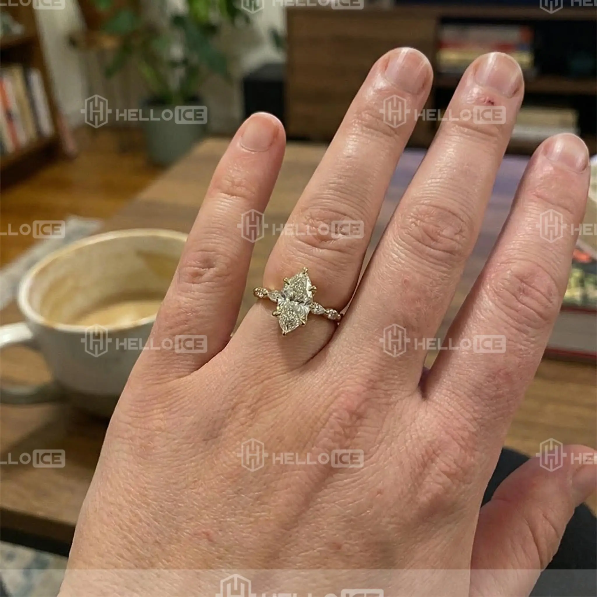 Helloice Review Image