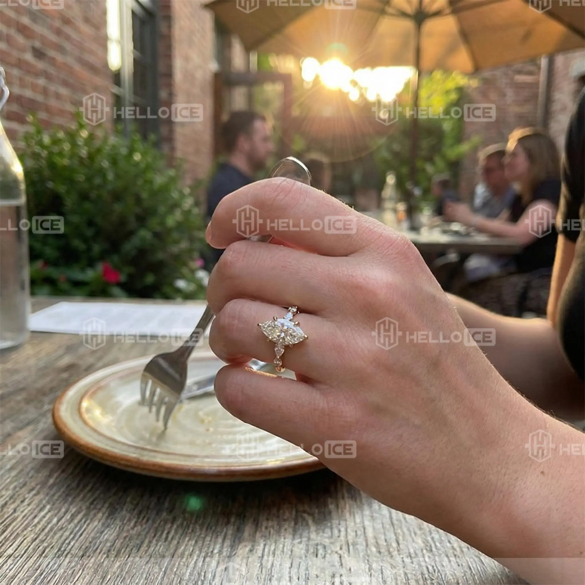 Helloice Review Image