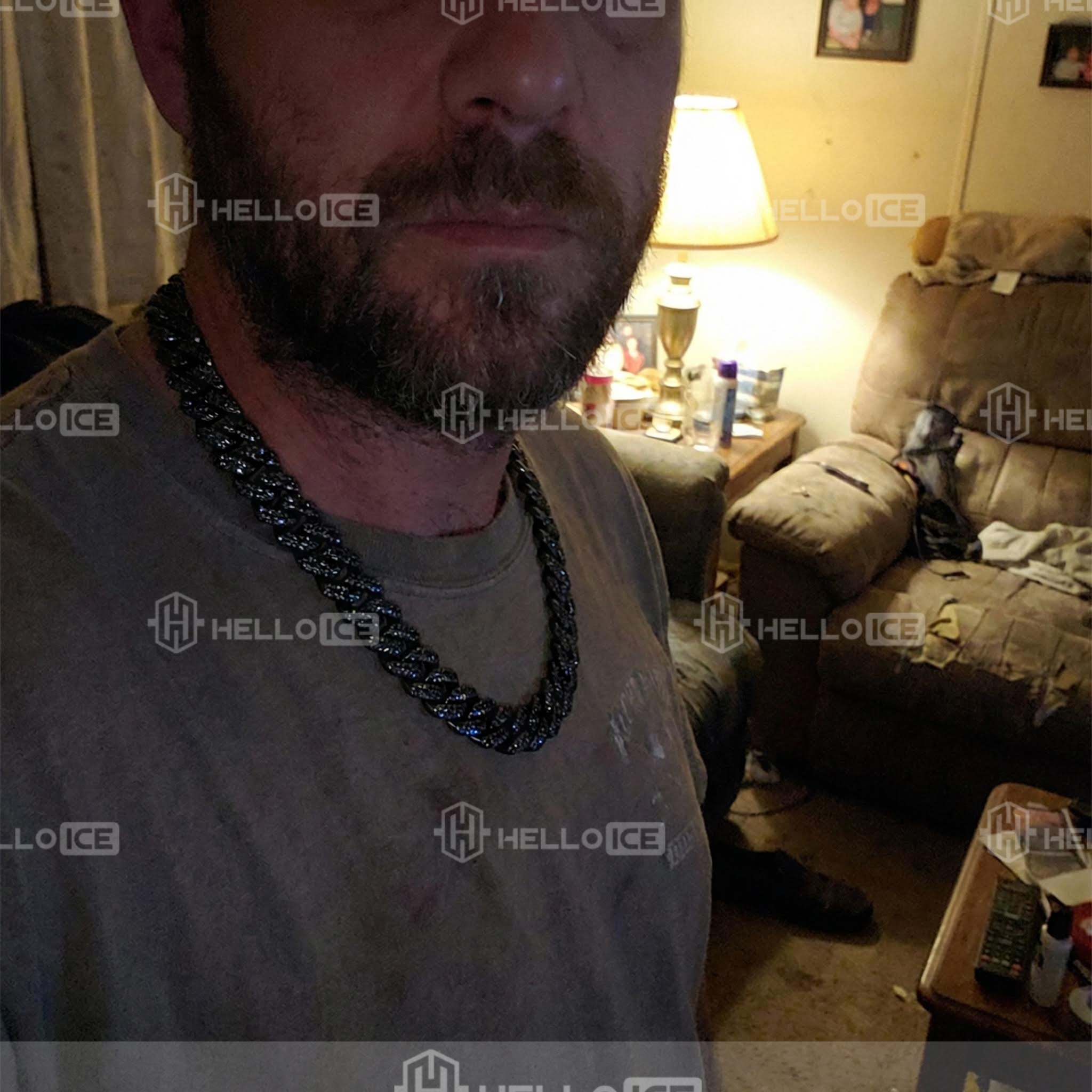 Helloice Review Image