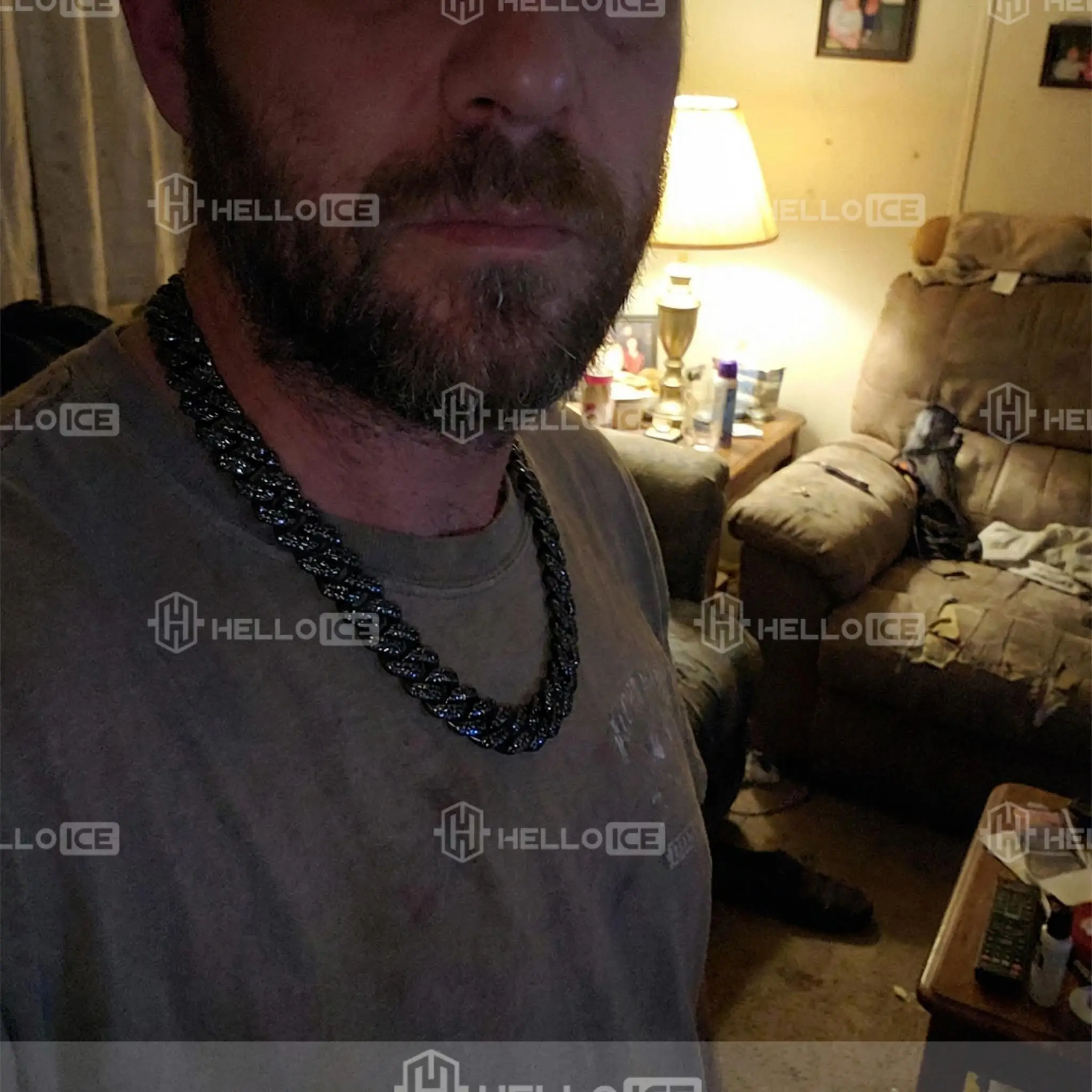 Helloice Review Image