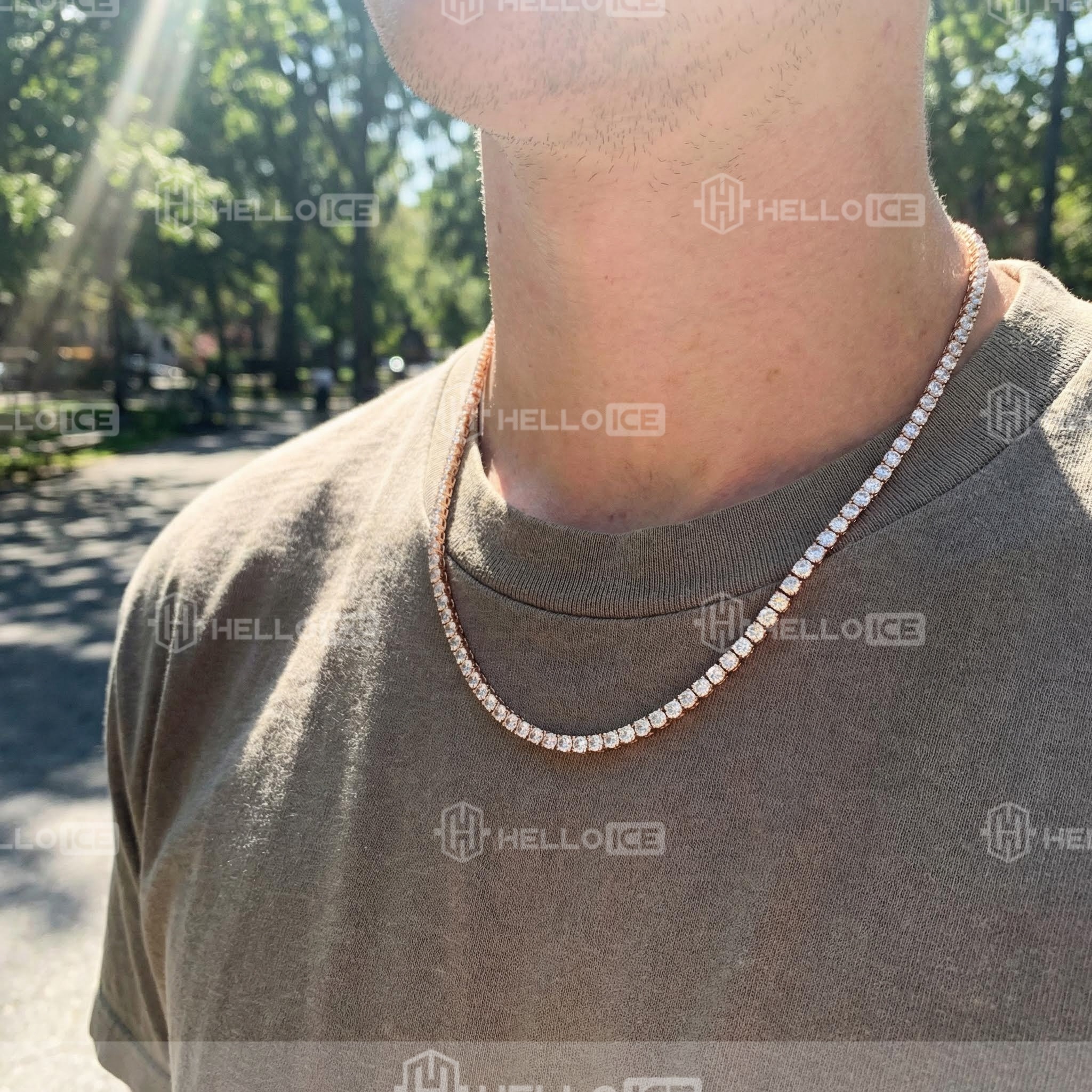 Helloice Review Image