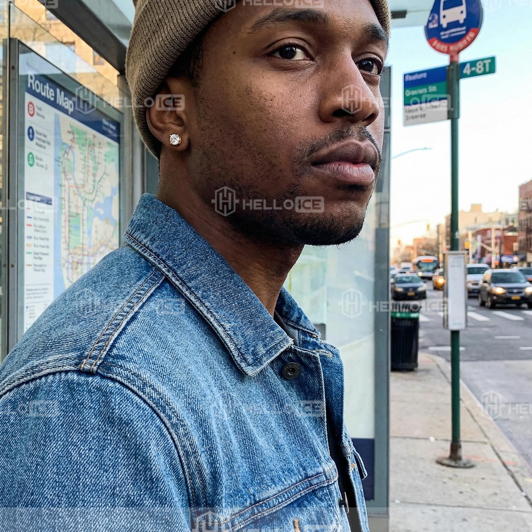 Helloice Review Image