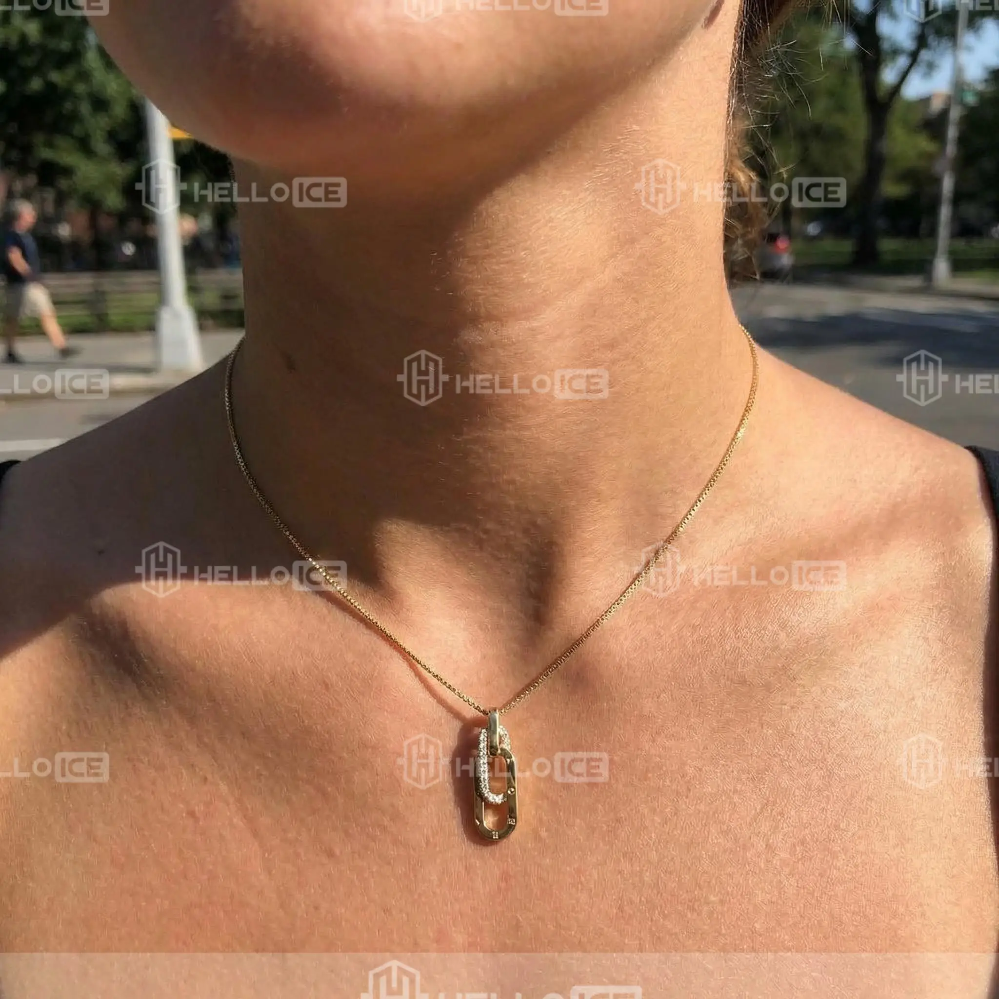 Helloice Review Image