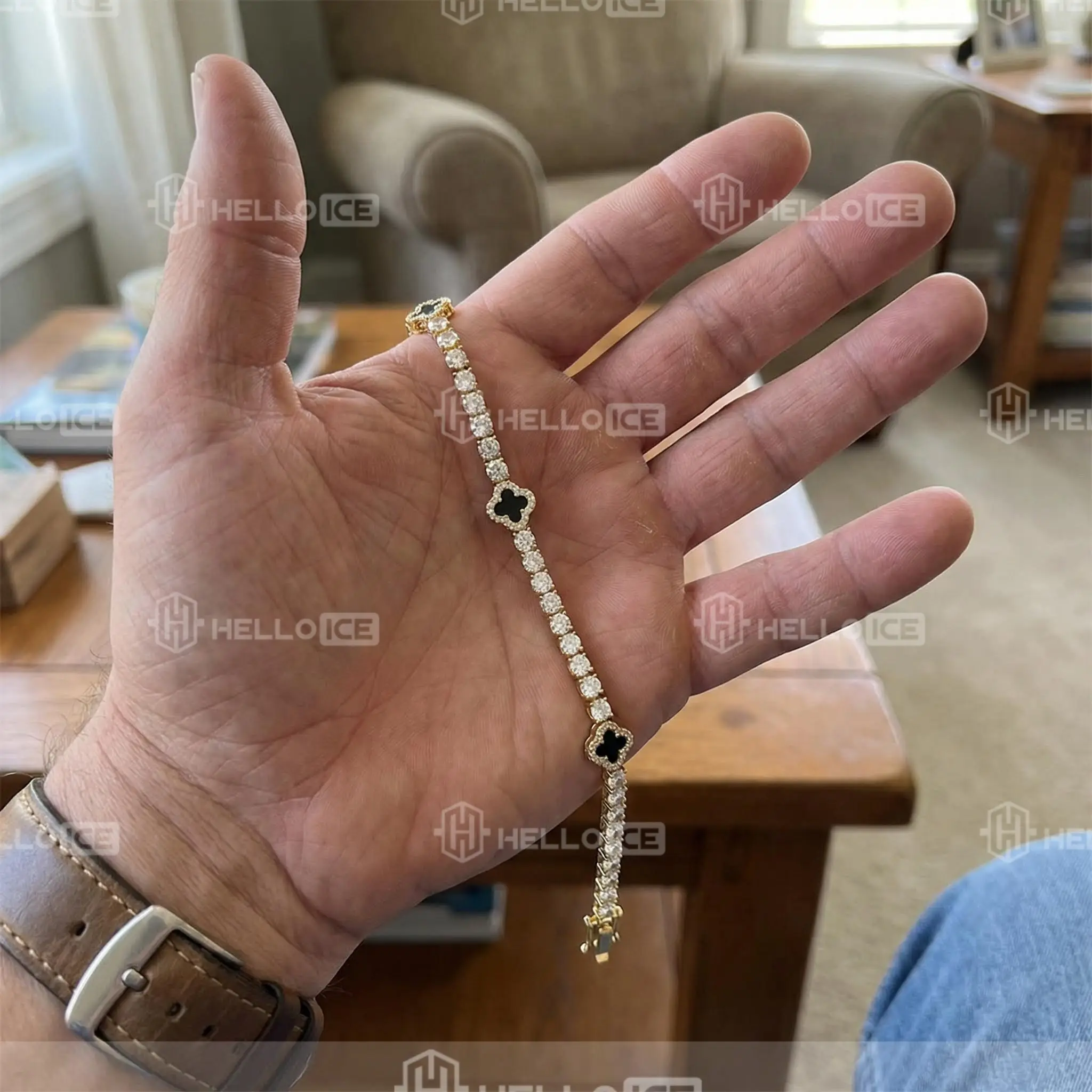 Helloice Review Image