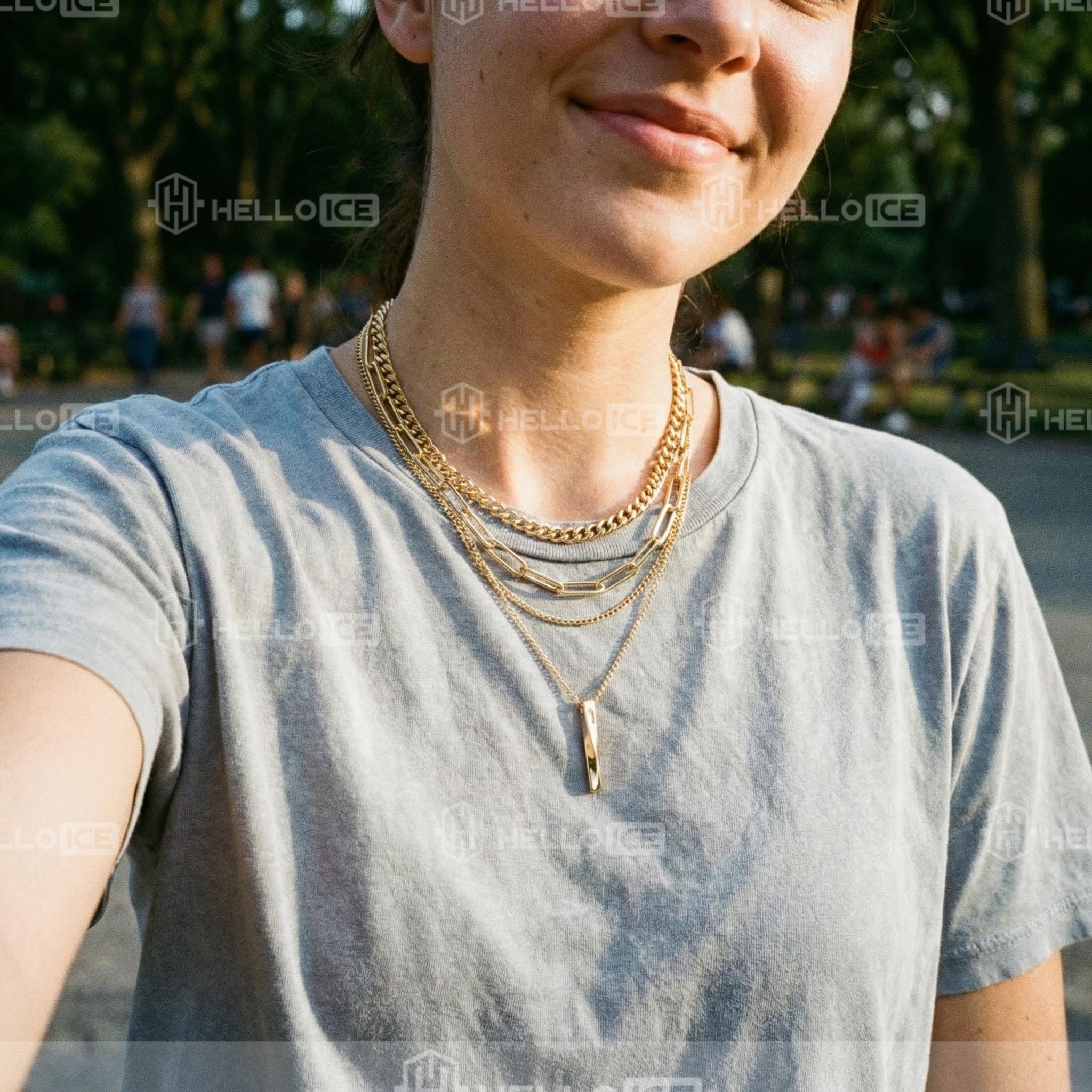 Helloice Review Image