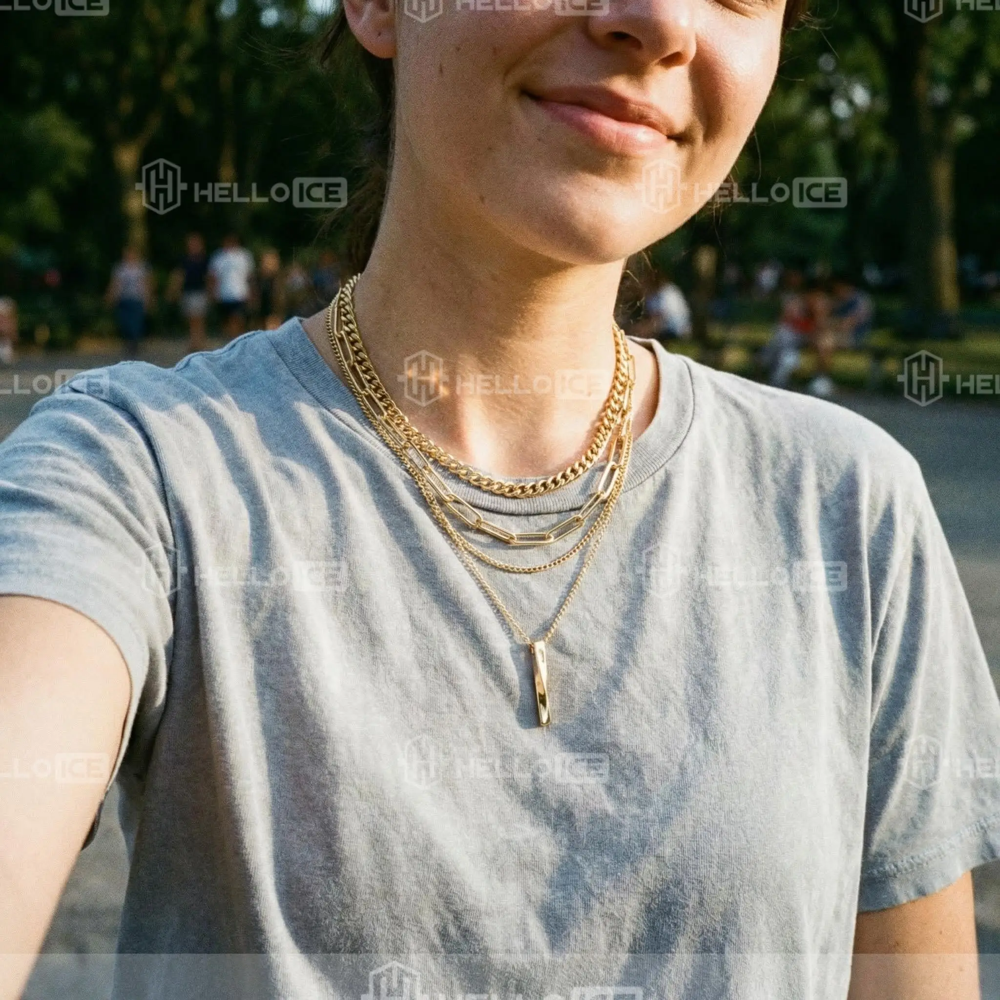 Helloice Review Image