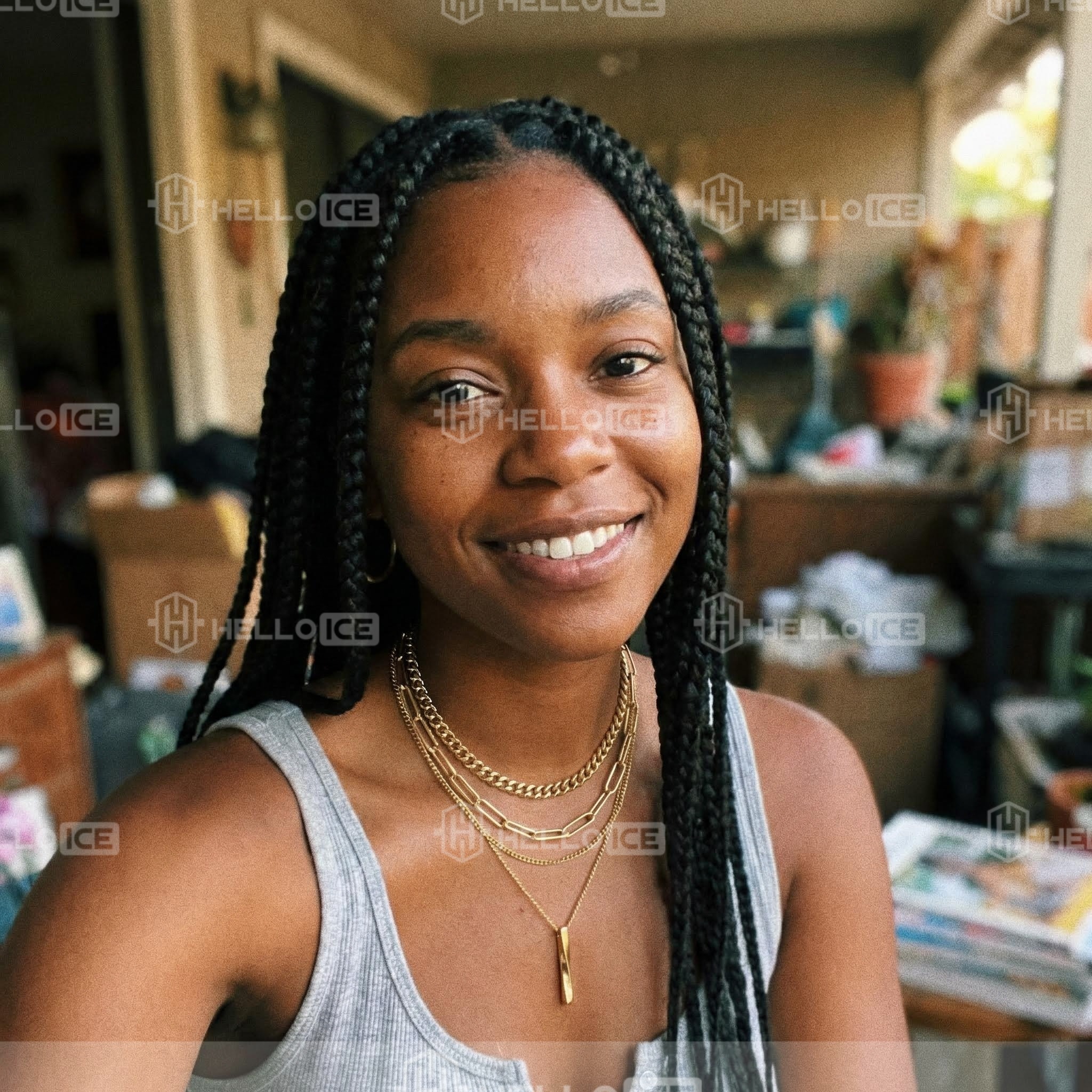 Helloice Review Image