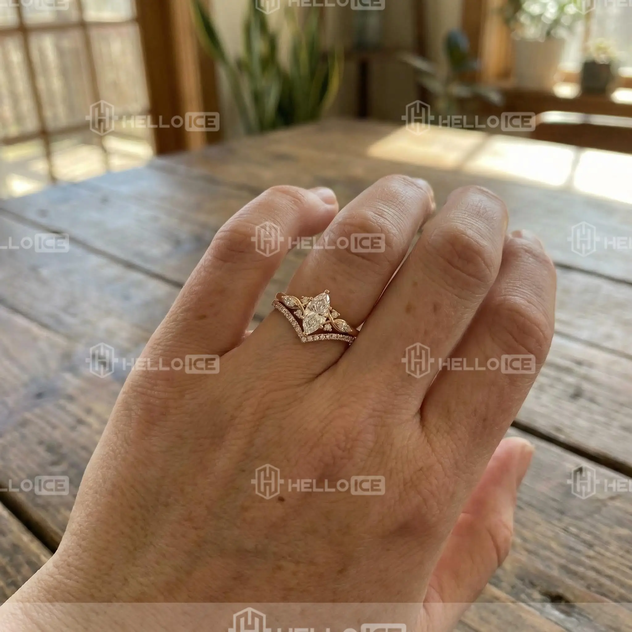 Helloice Review Image