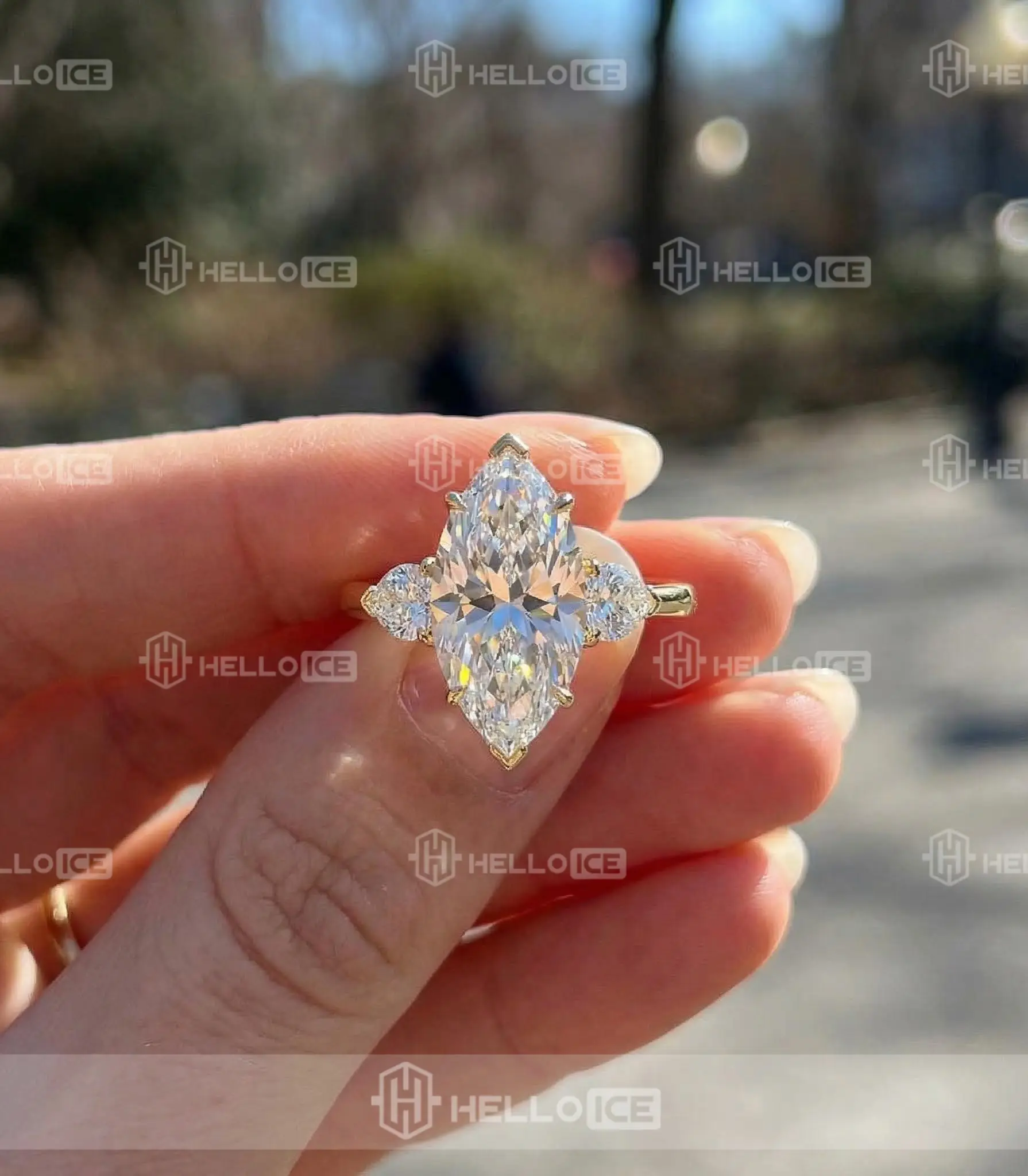 Helloice Review Image