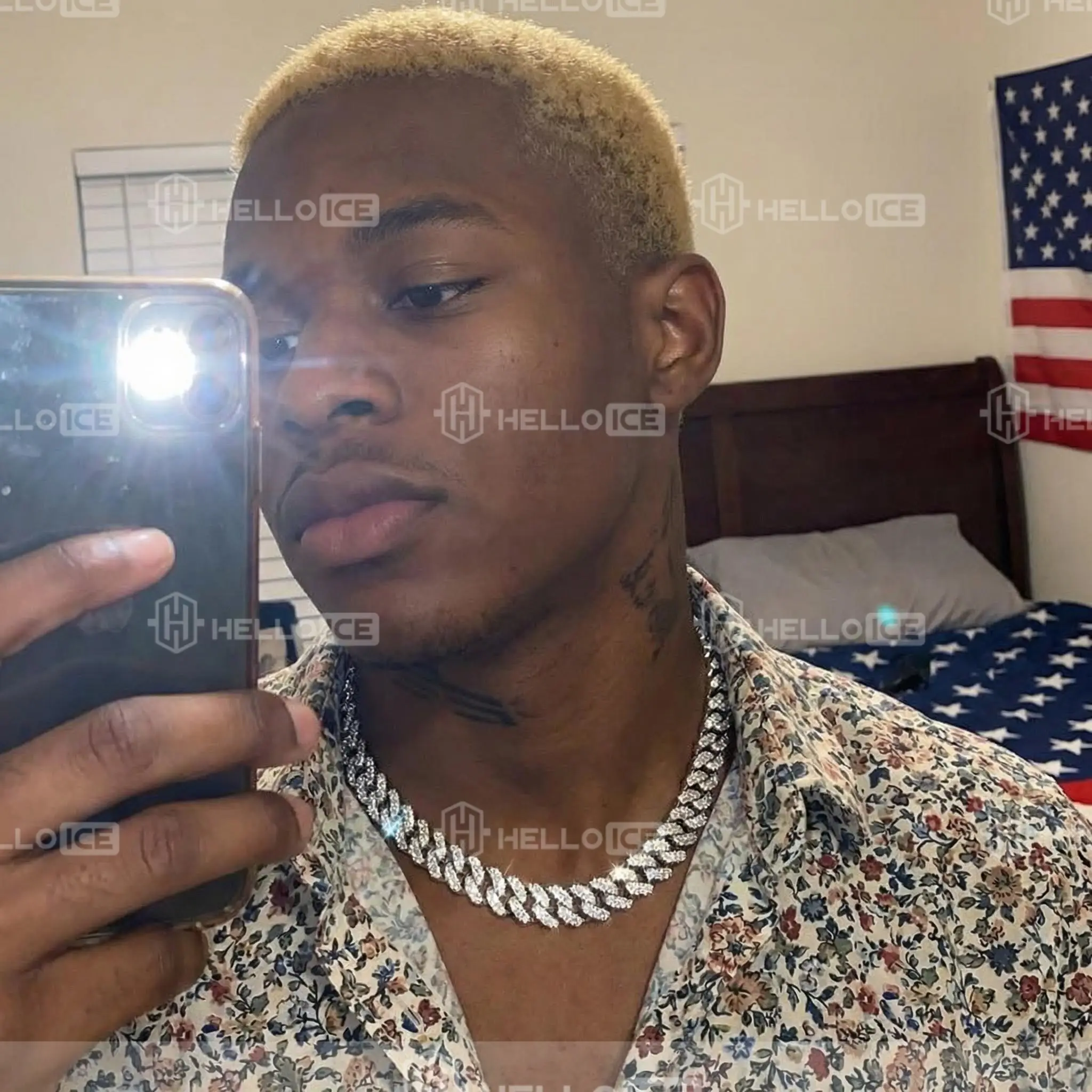 Helloice Review Image