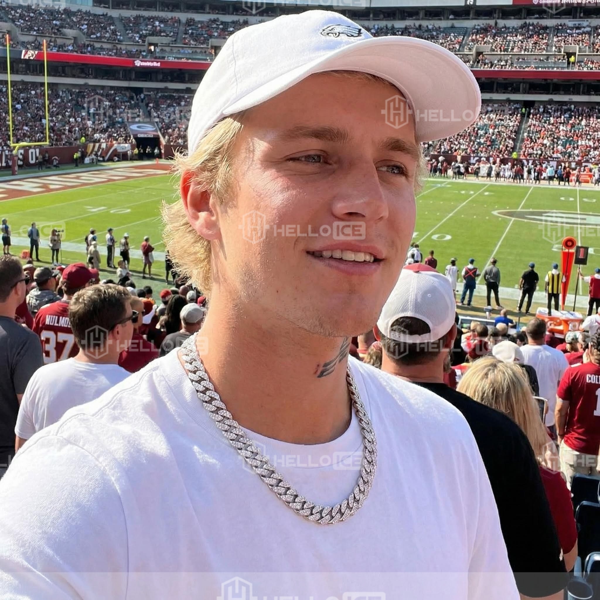 Helloice Review Image