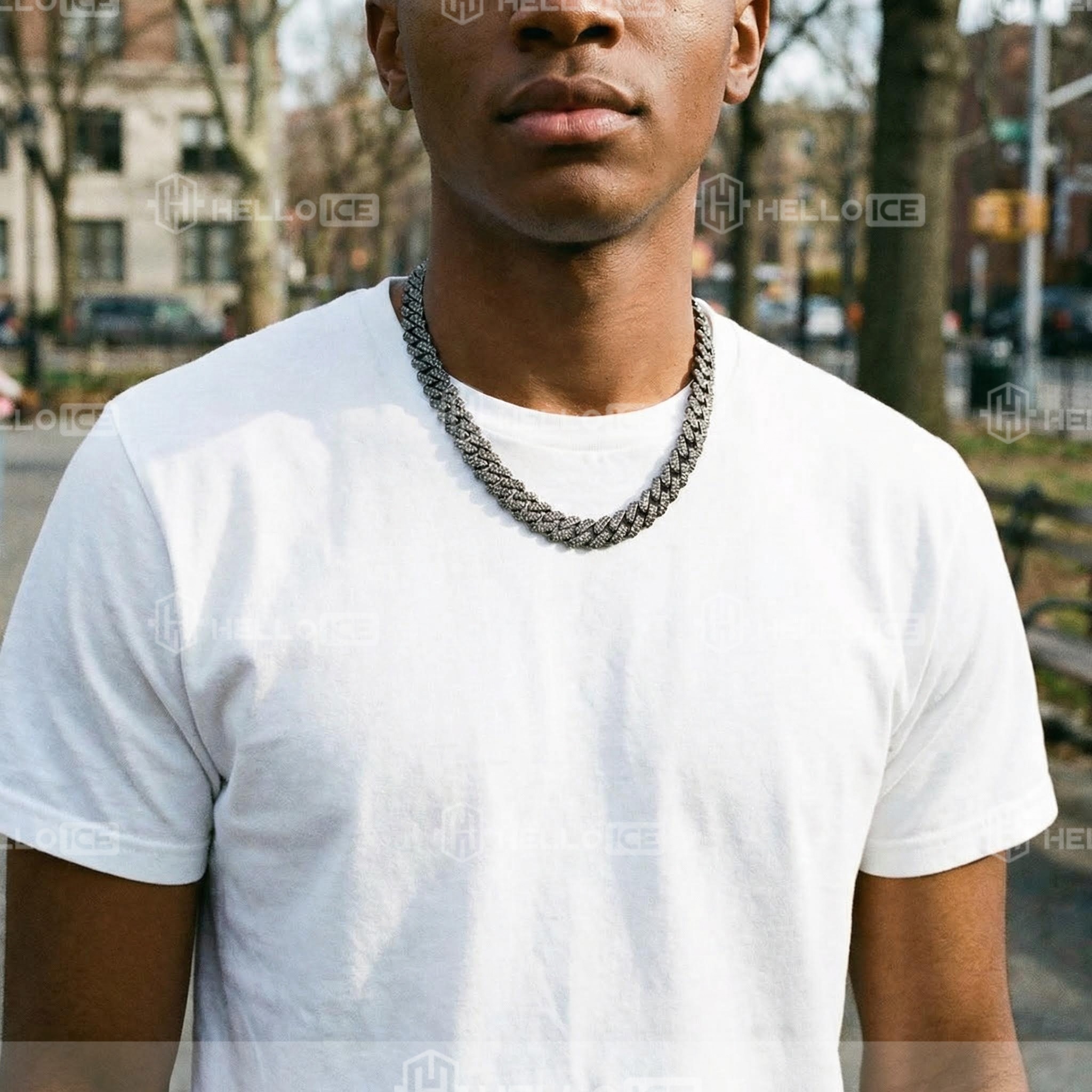 Helloice Review Image