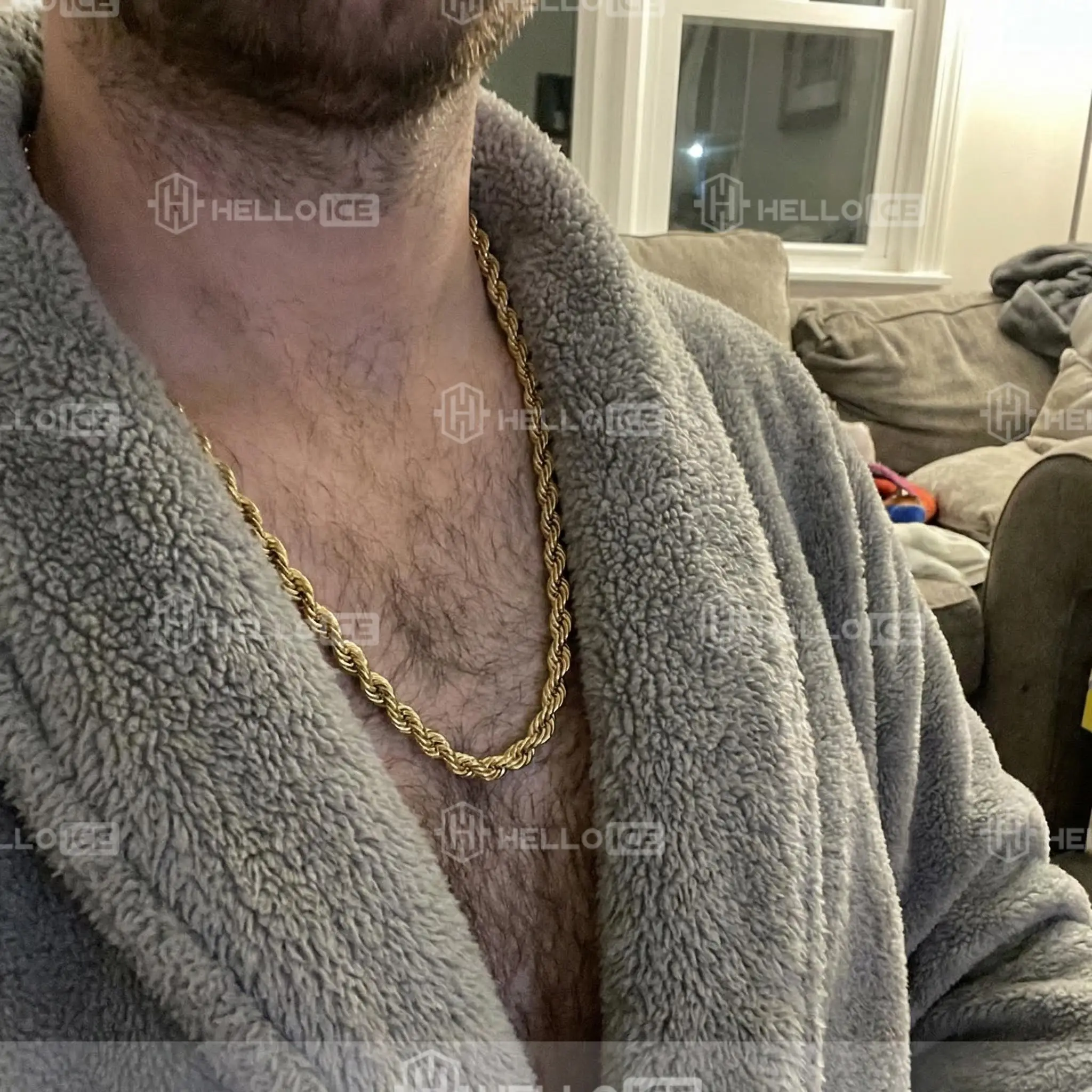 Helloice Review Image