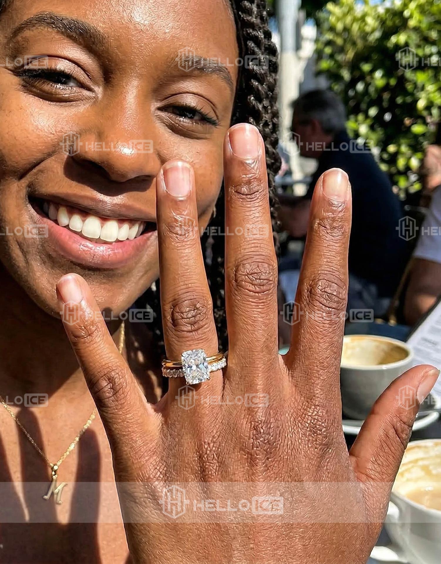 Helloice Review Image