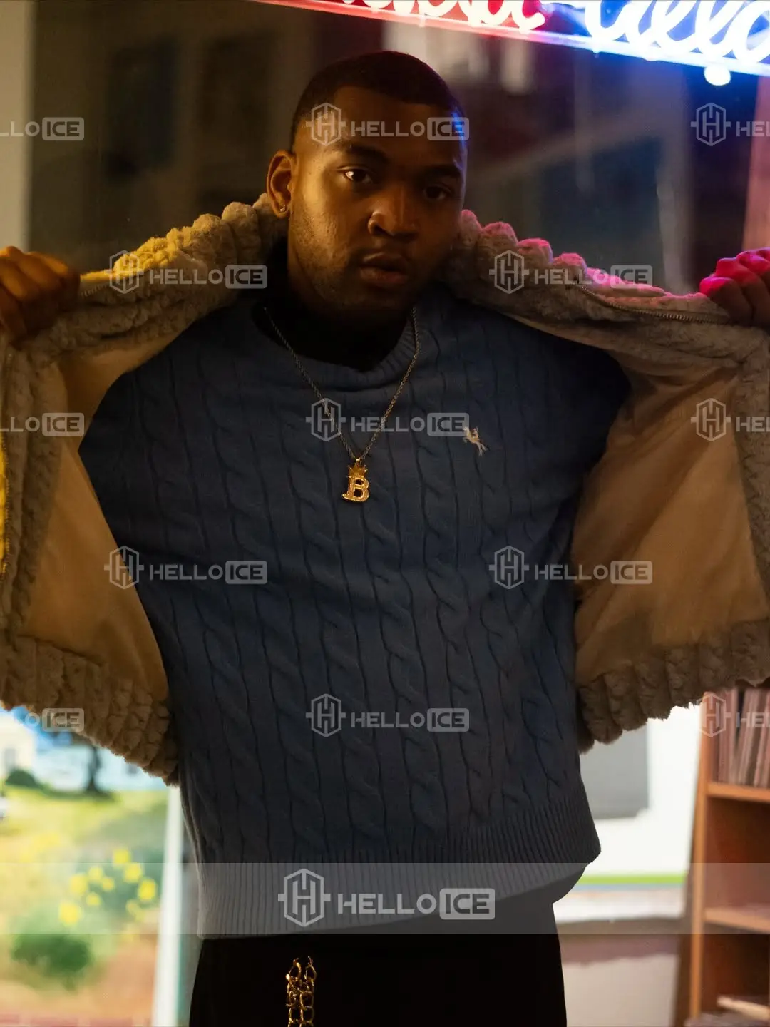 Helloice Review Image