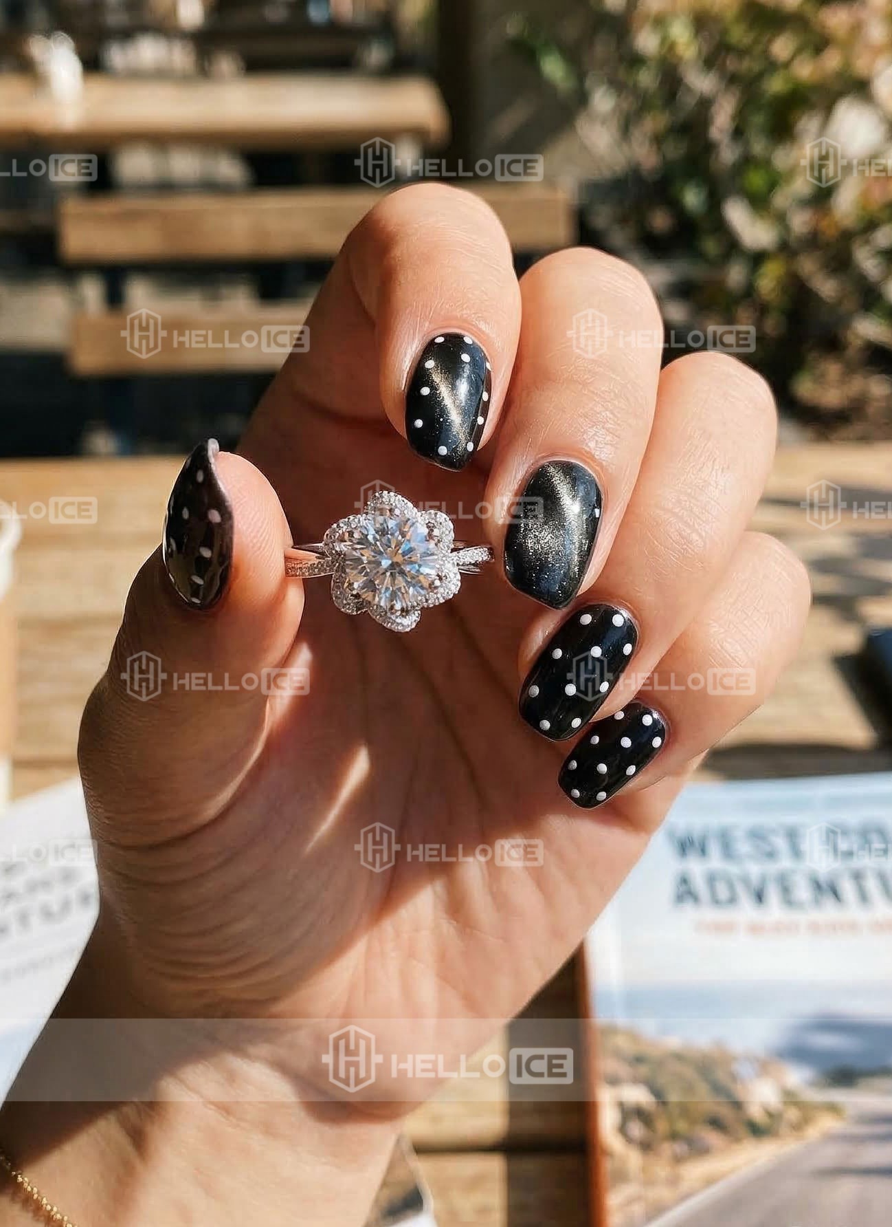 Helloice Review Image