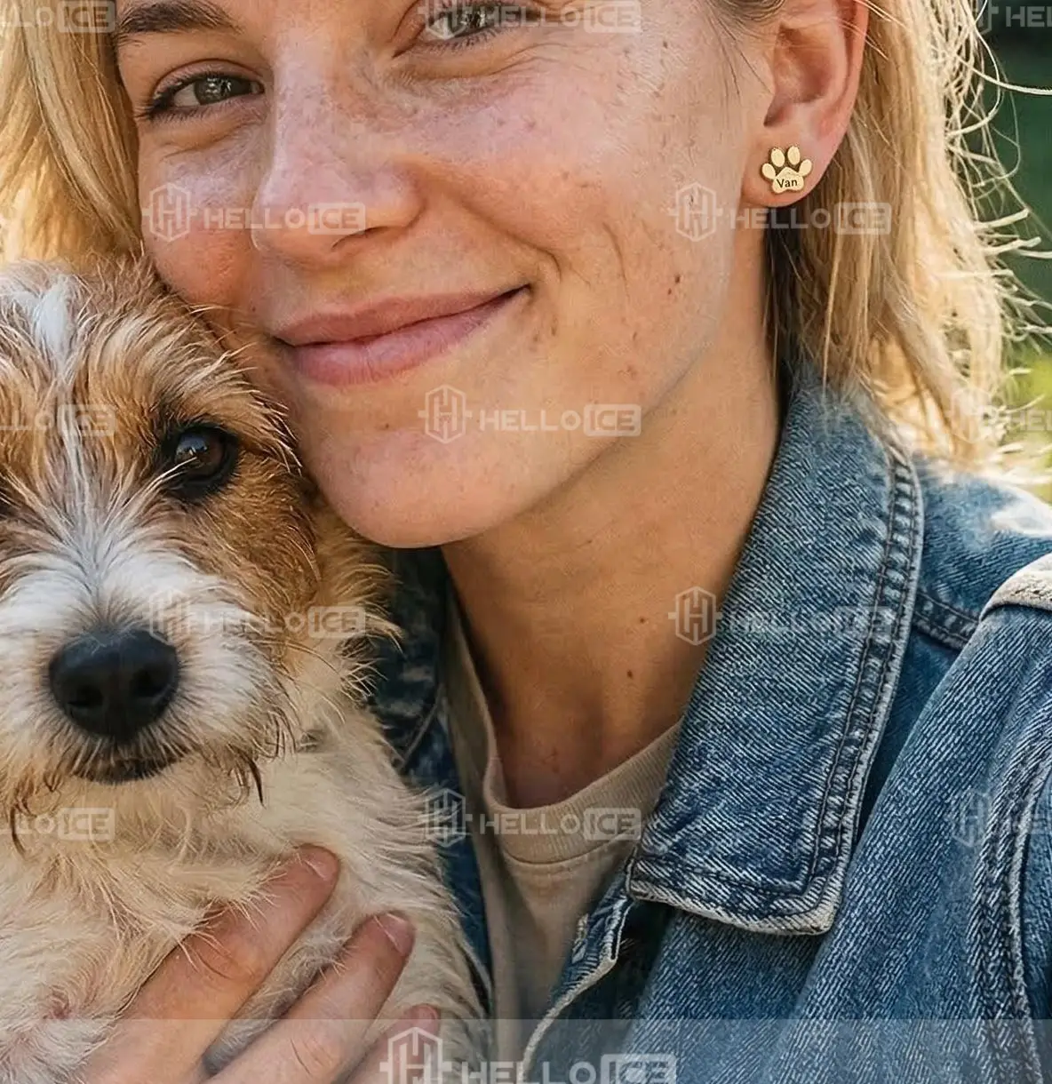 Helloice Review Image