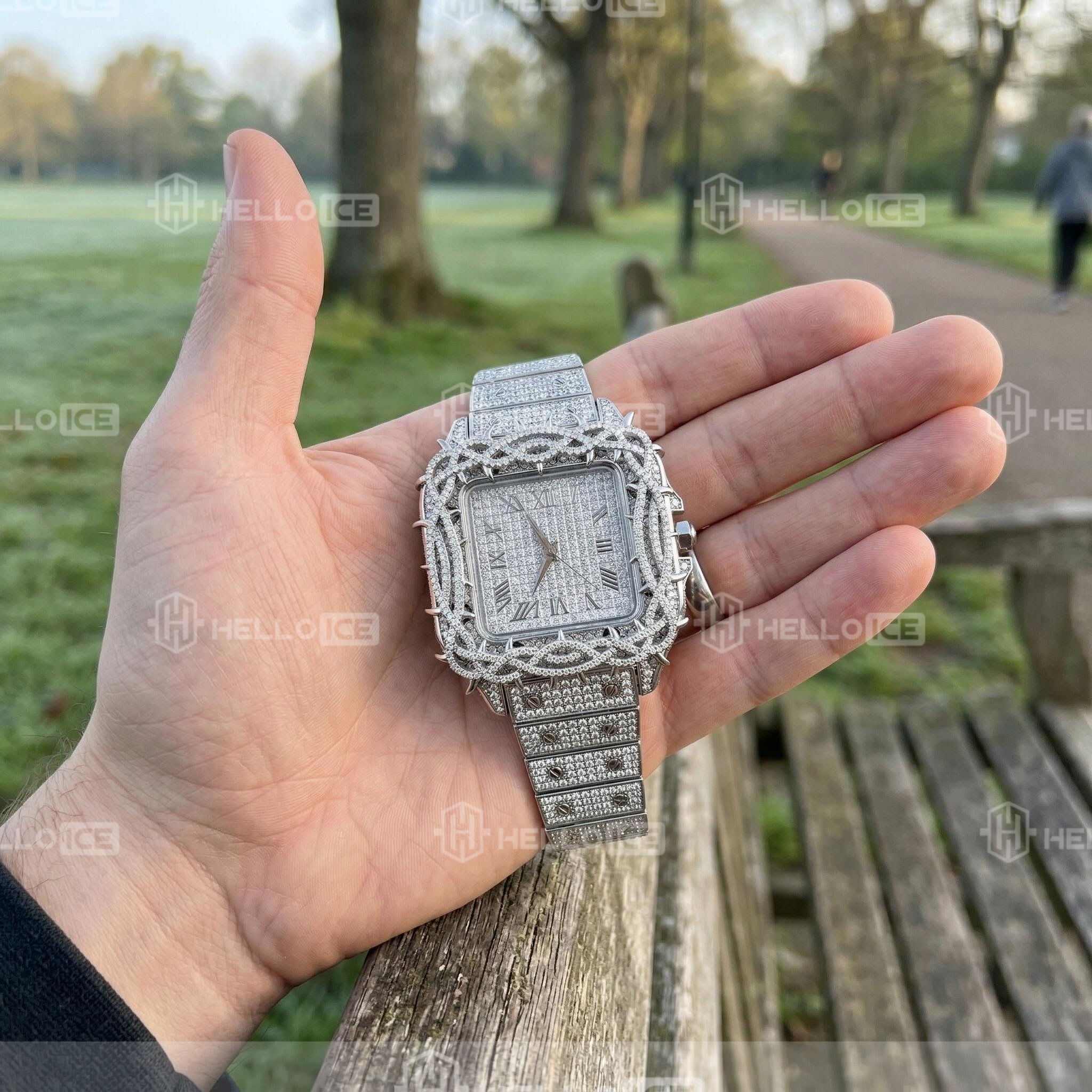 Helloice Review Image