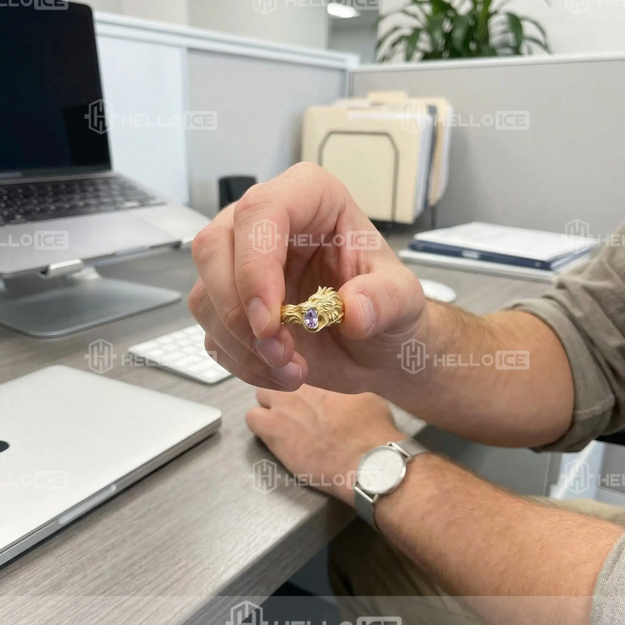 Helloice Review Image