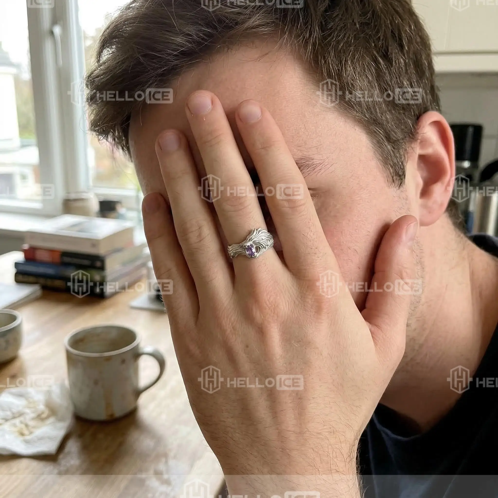 Helloice Review Image