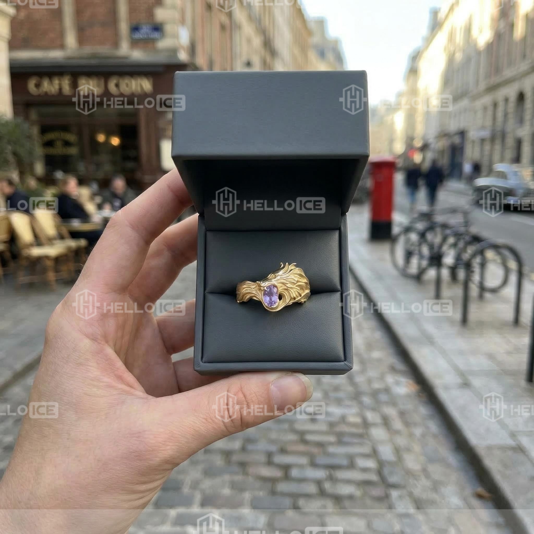 Helloice Review Image