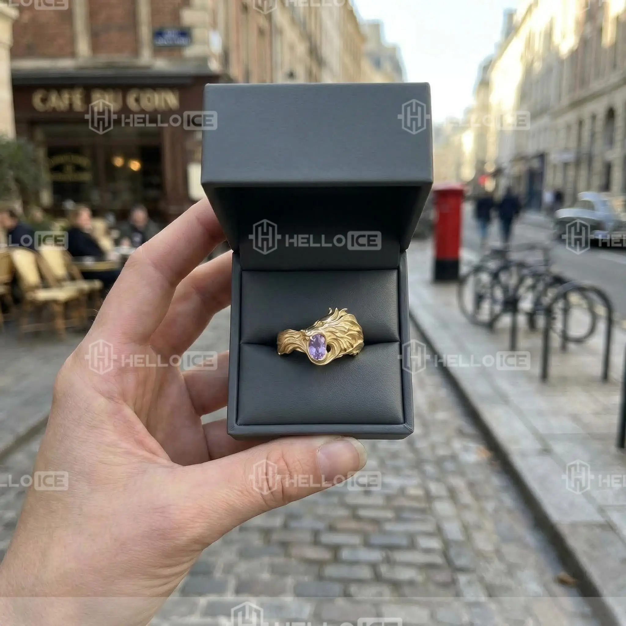 Helloice Review Image