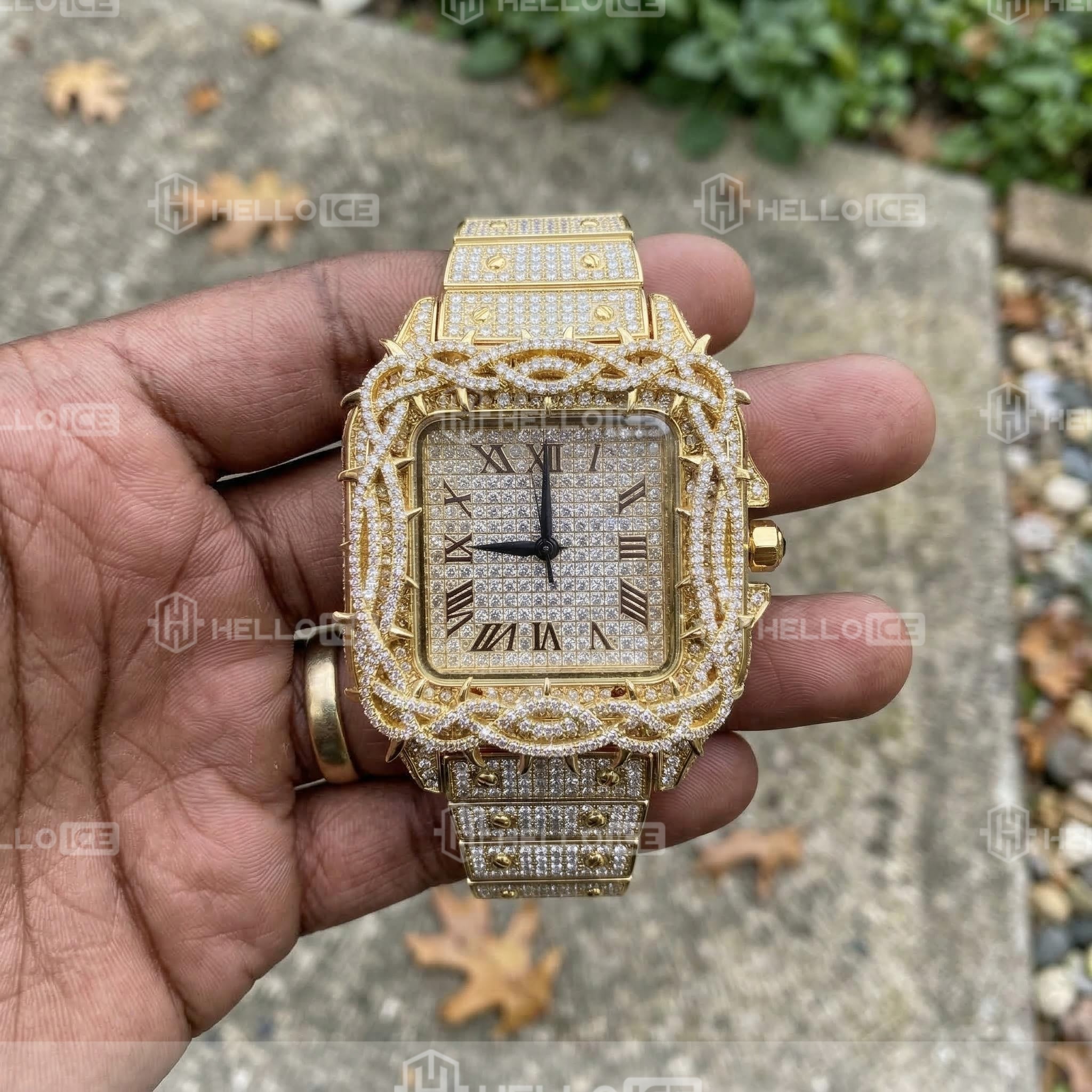 Helloice Review Image