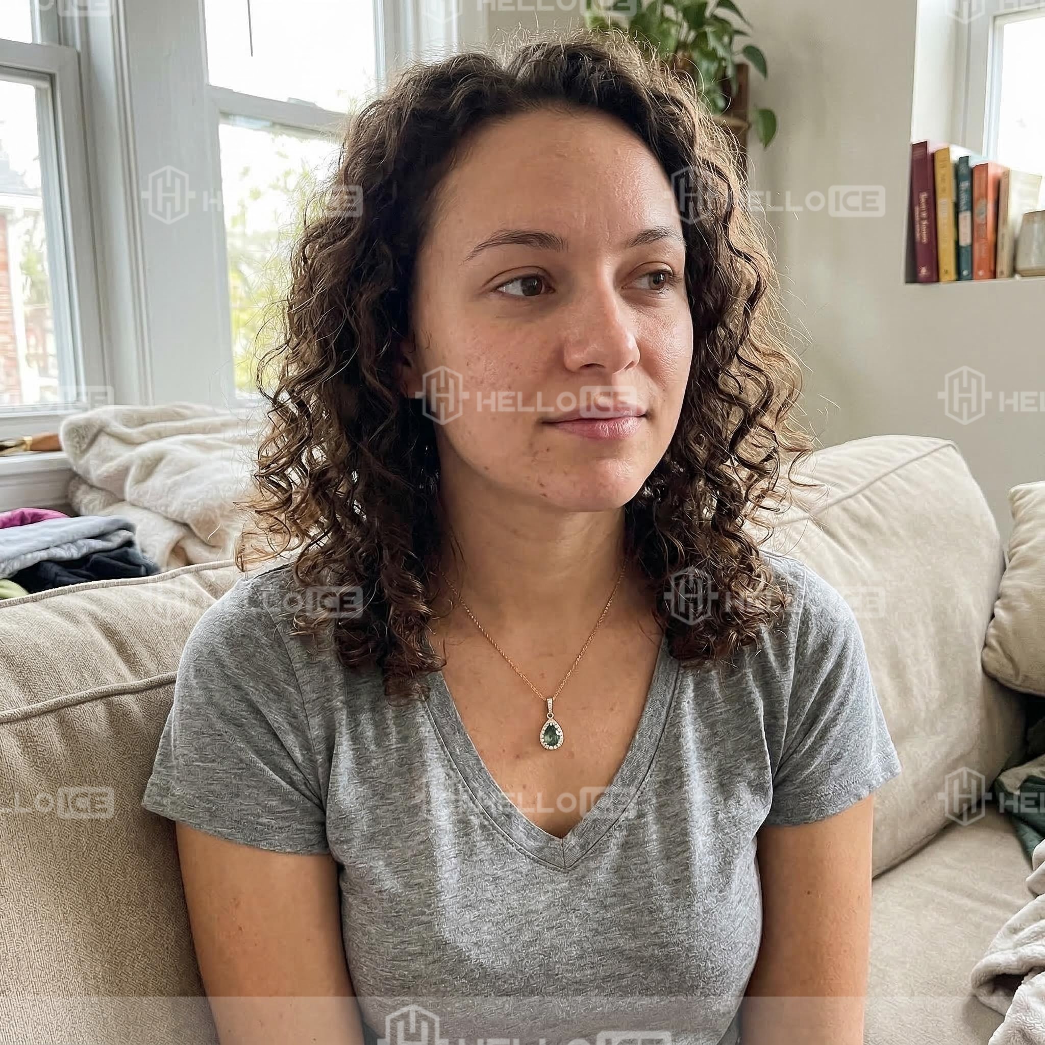 Helloice Review Image