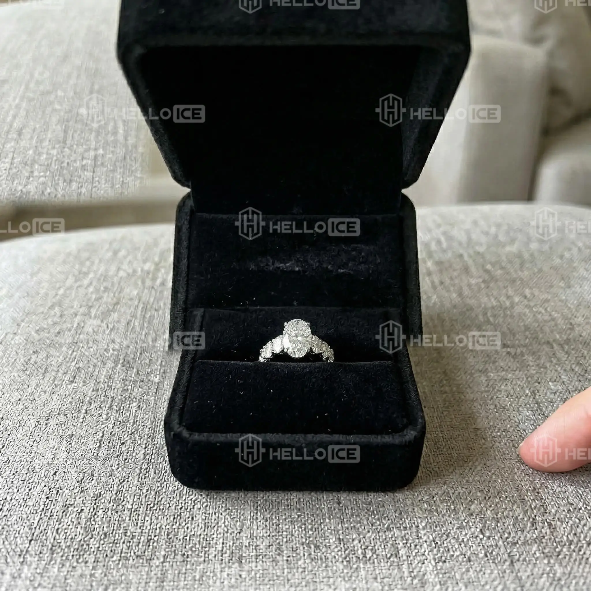 Helloice Review Image