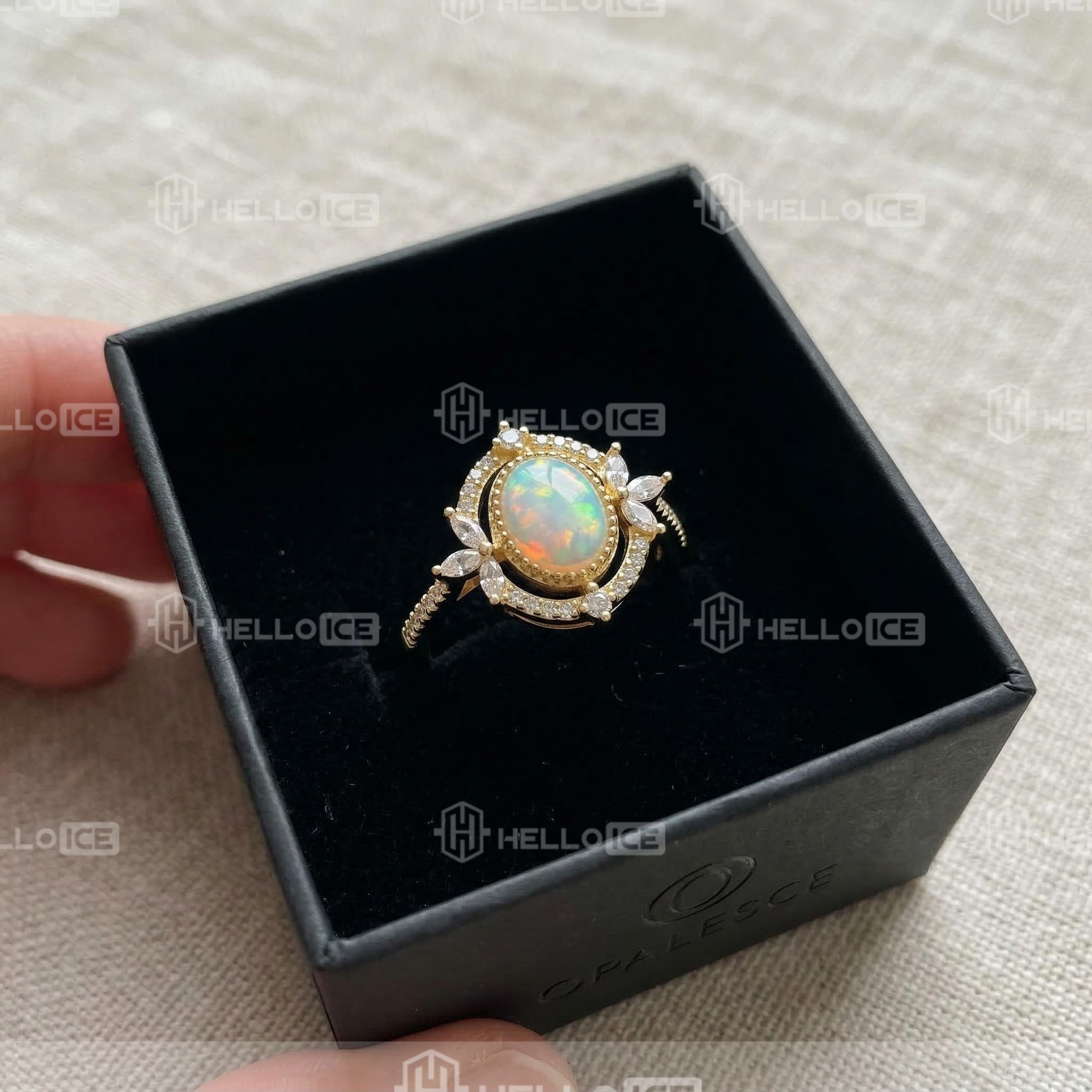 Helloice Review Image