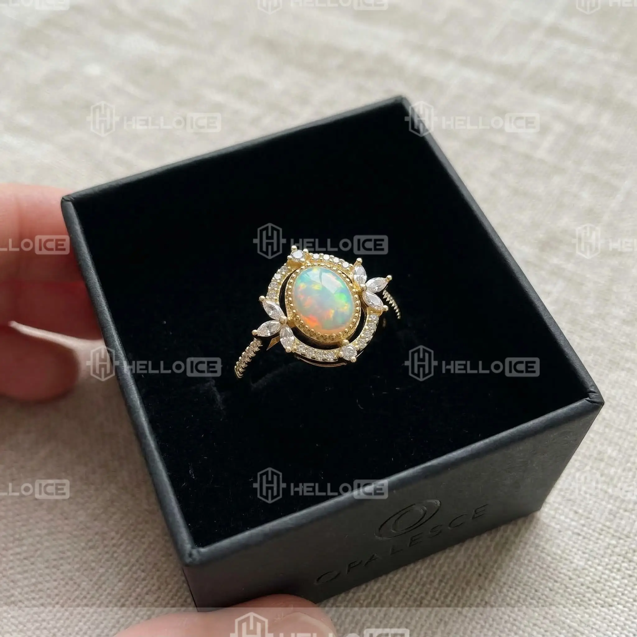 Helloice Review Image