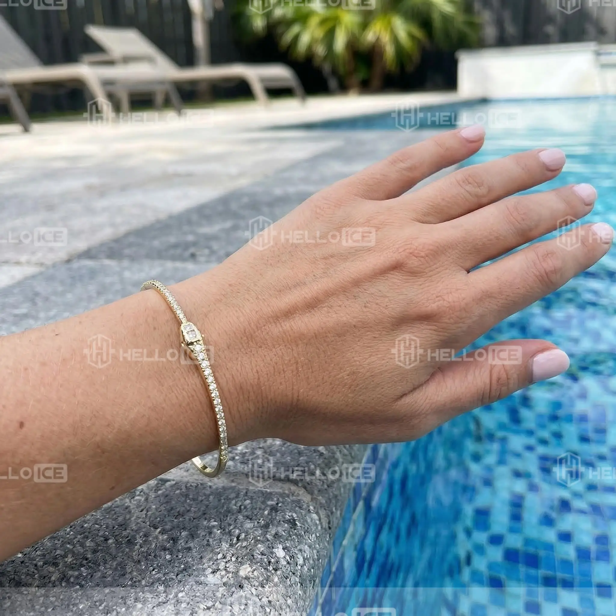 Helloice Review Image