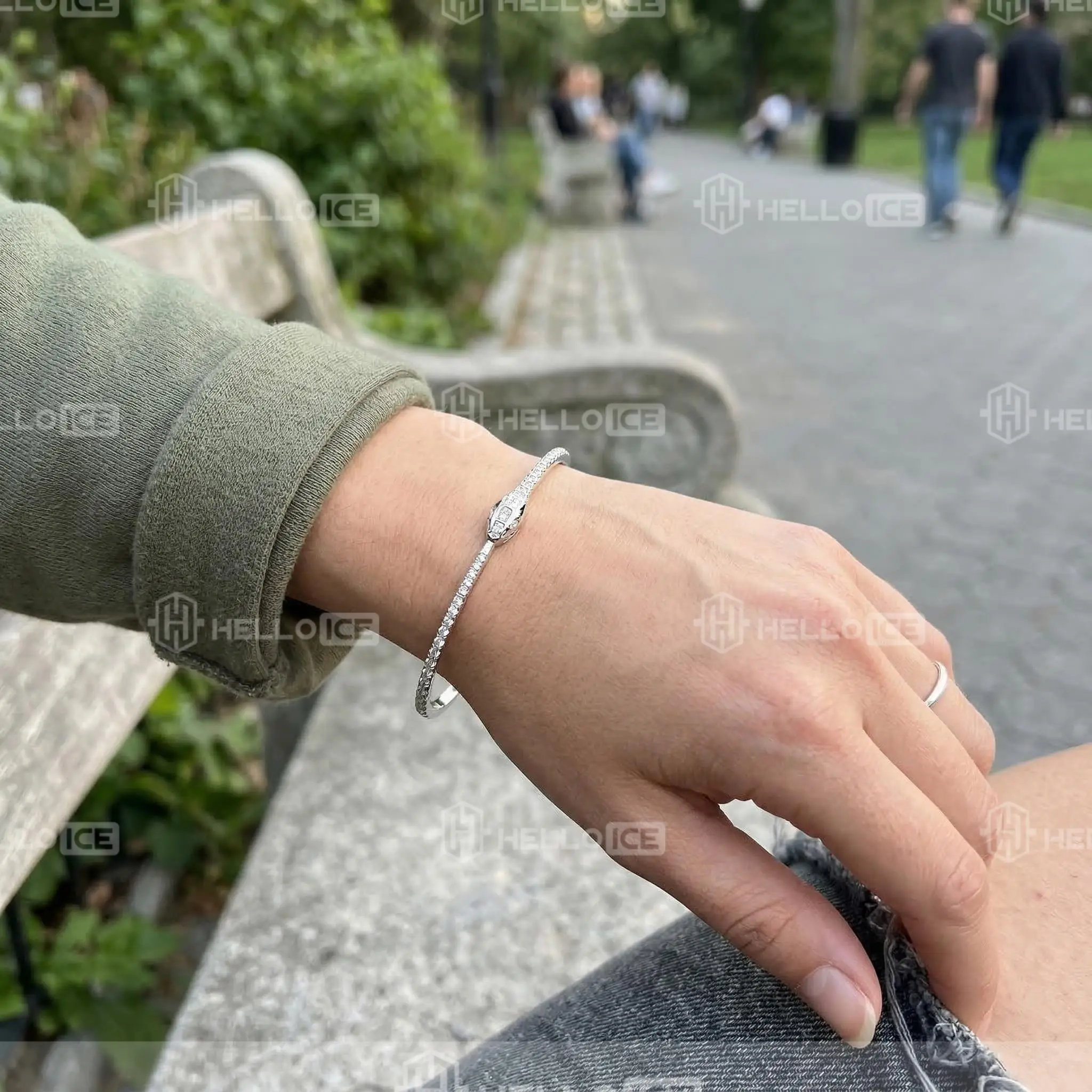 Helloice Review Image