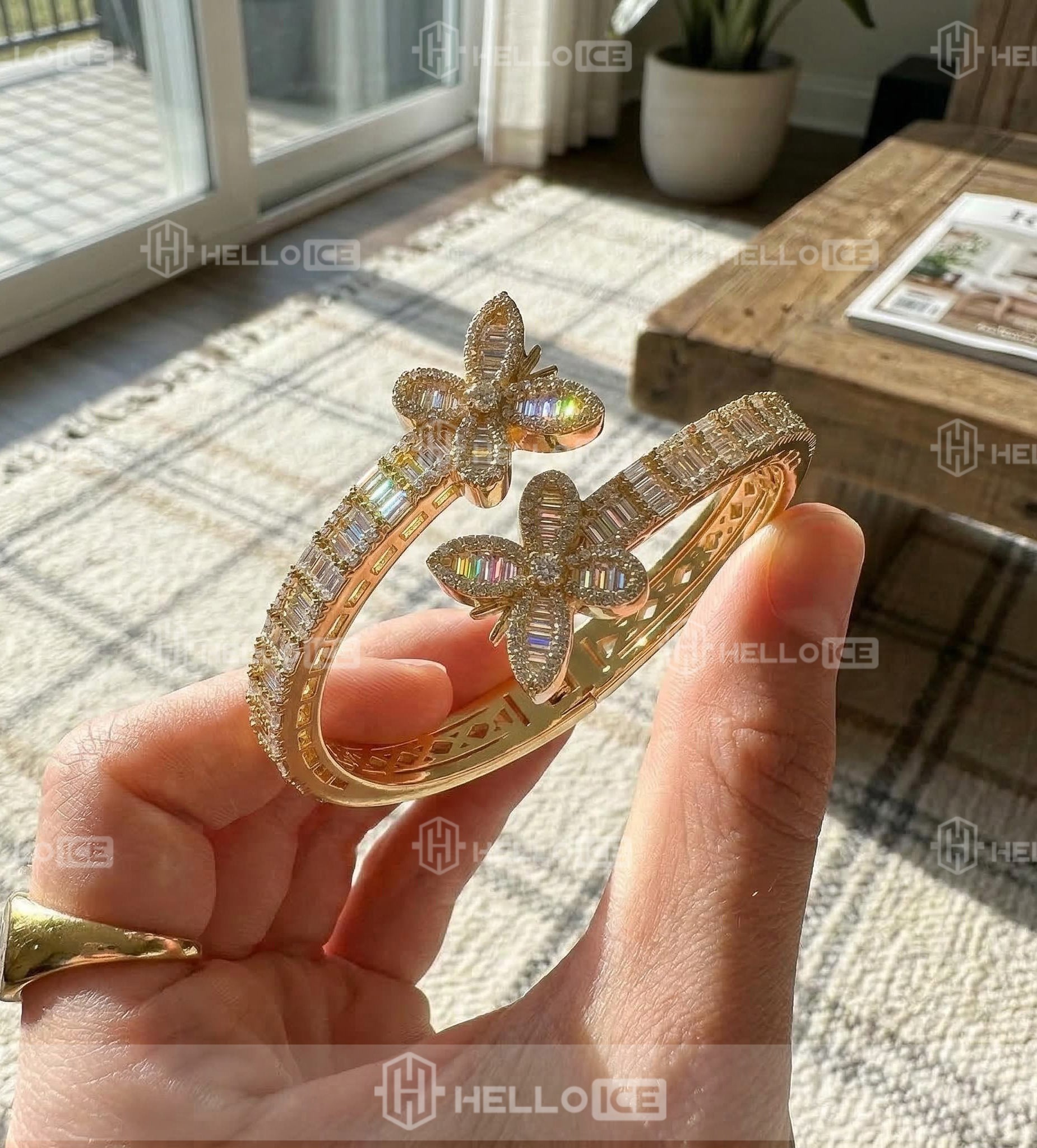 Helloice Review Image