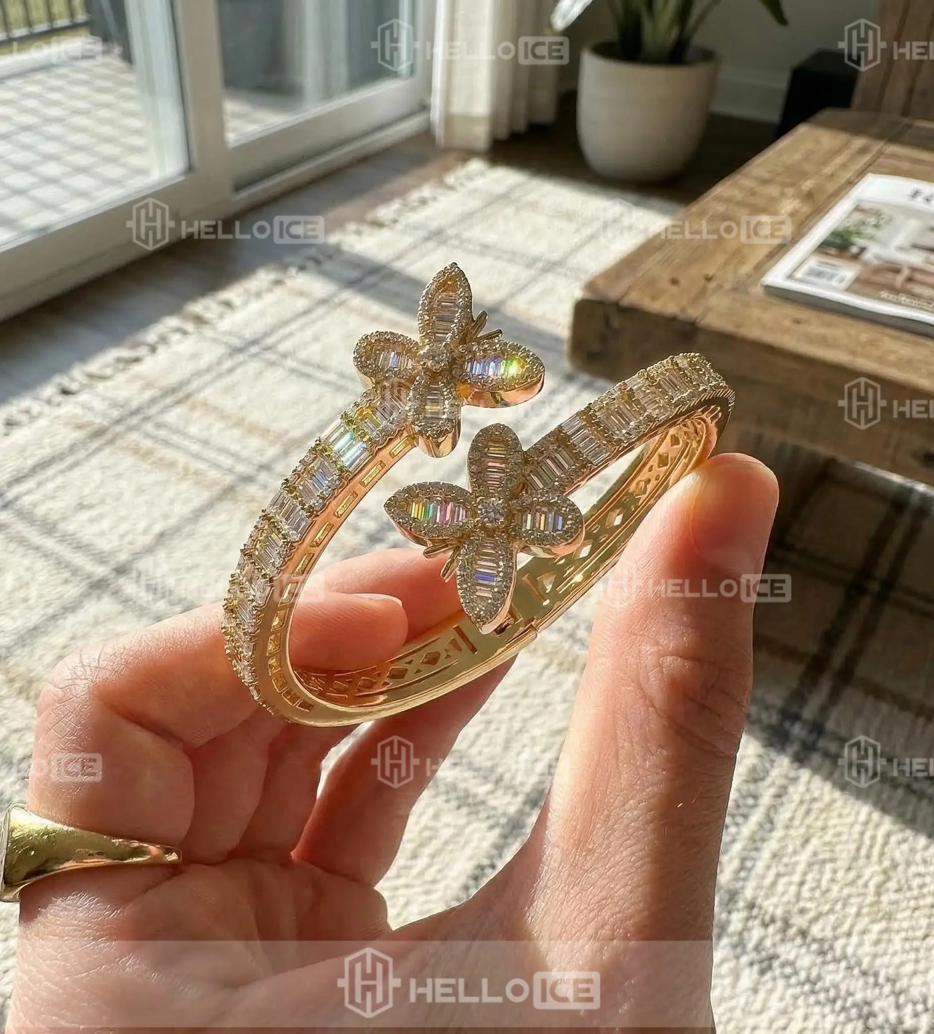 Helloice Review Image