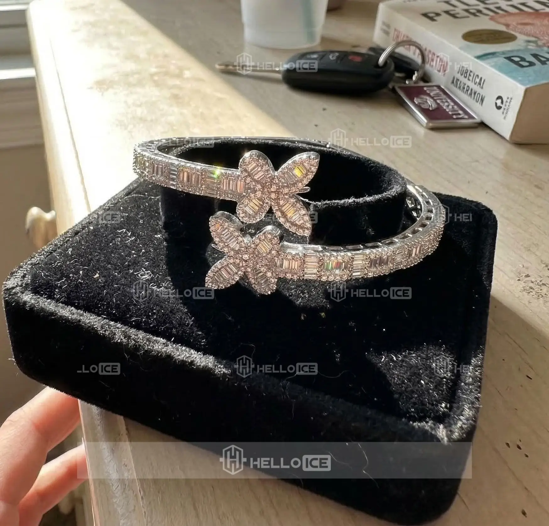 Helloice Review Image