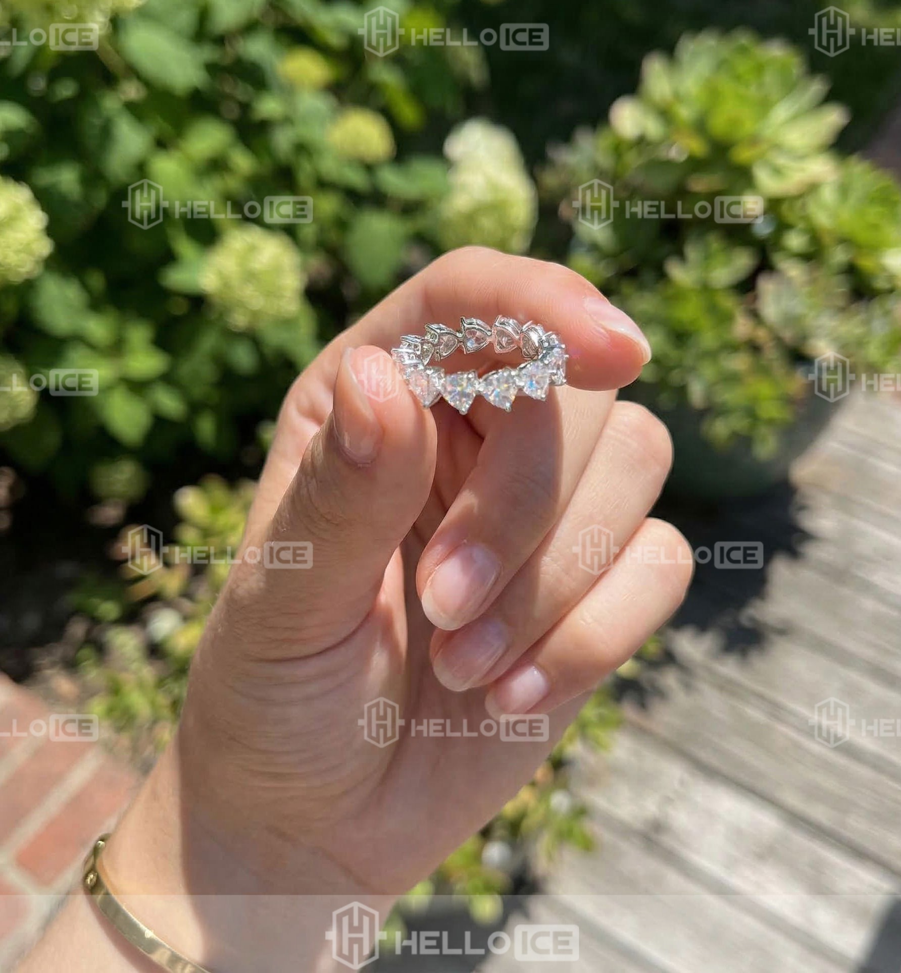 Helloice Review Image