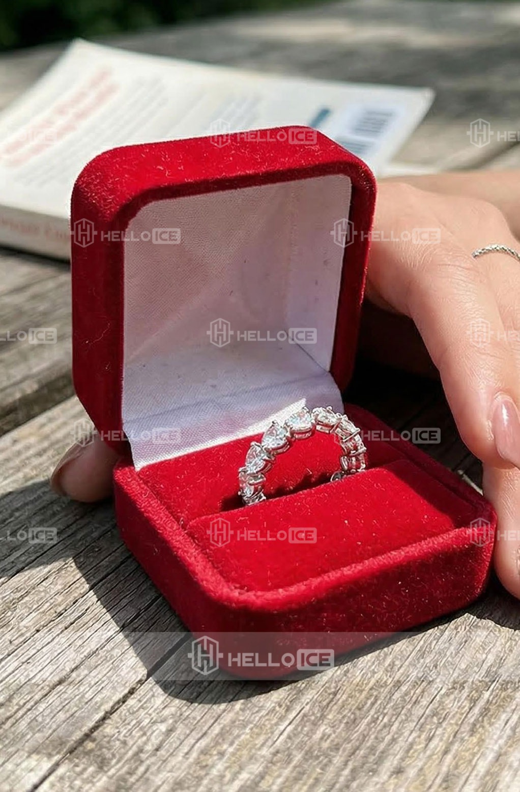 Helloice Review Image