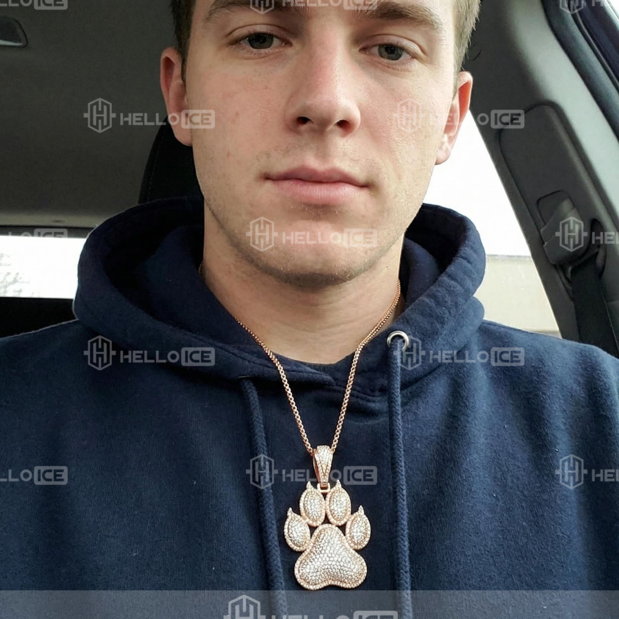 Helloice Review Image