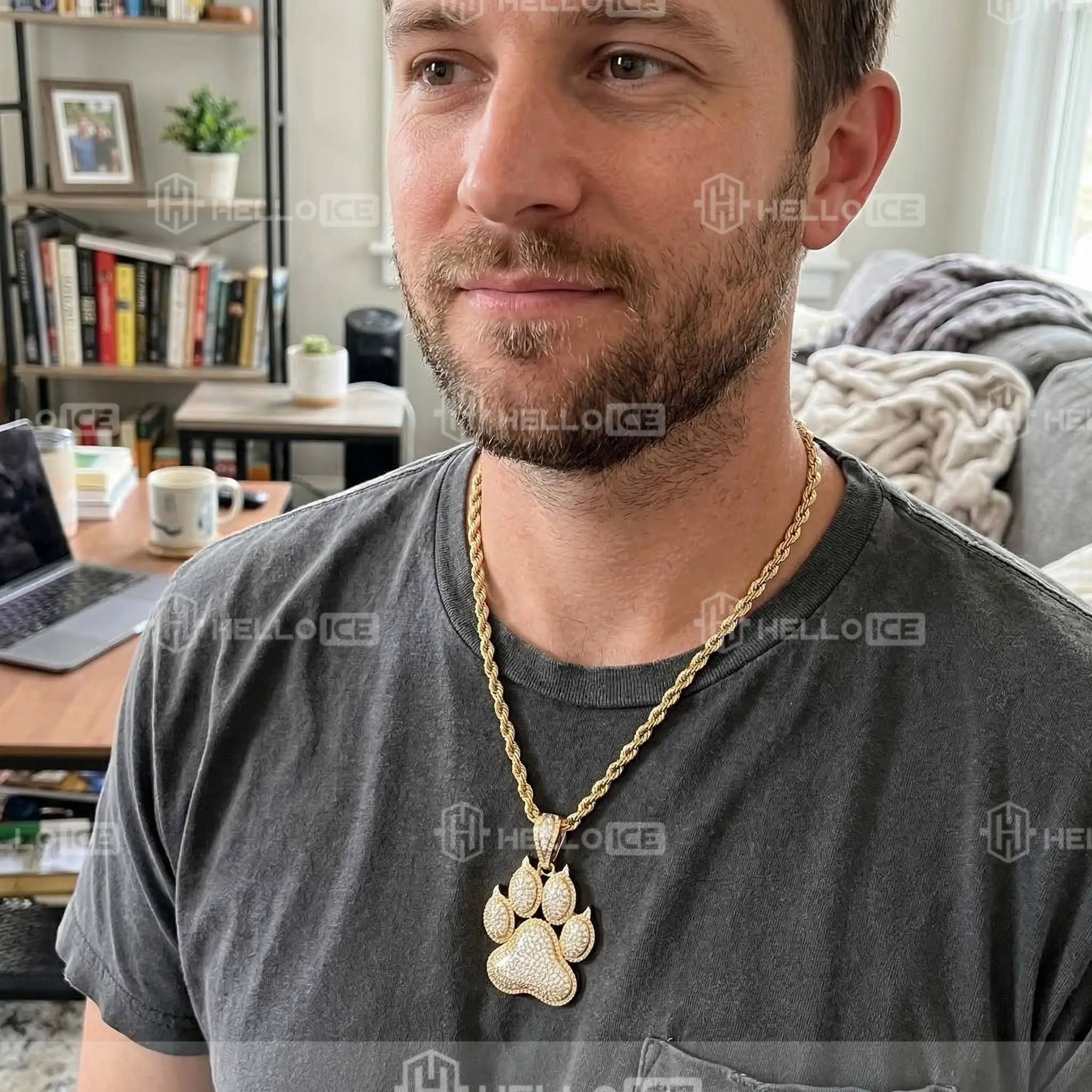 Helloice Review Image