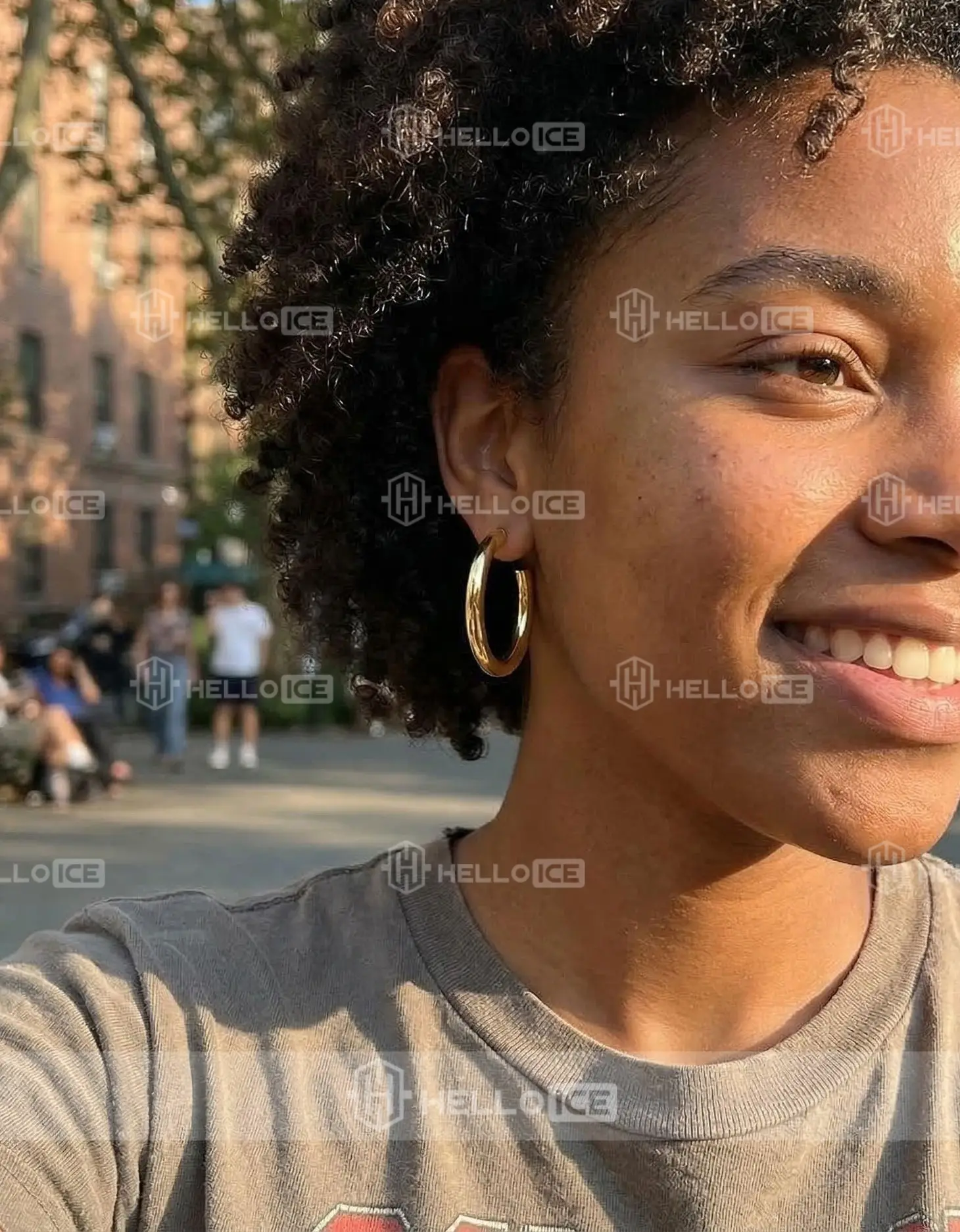 Helloice Review Image