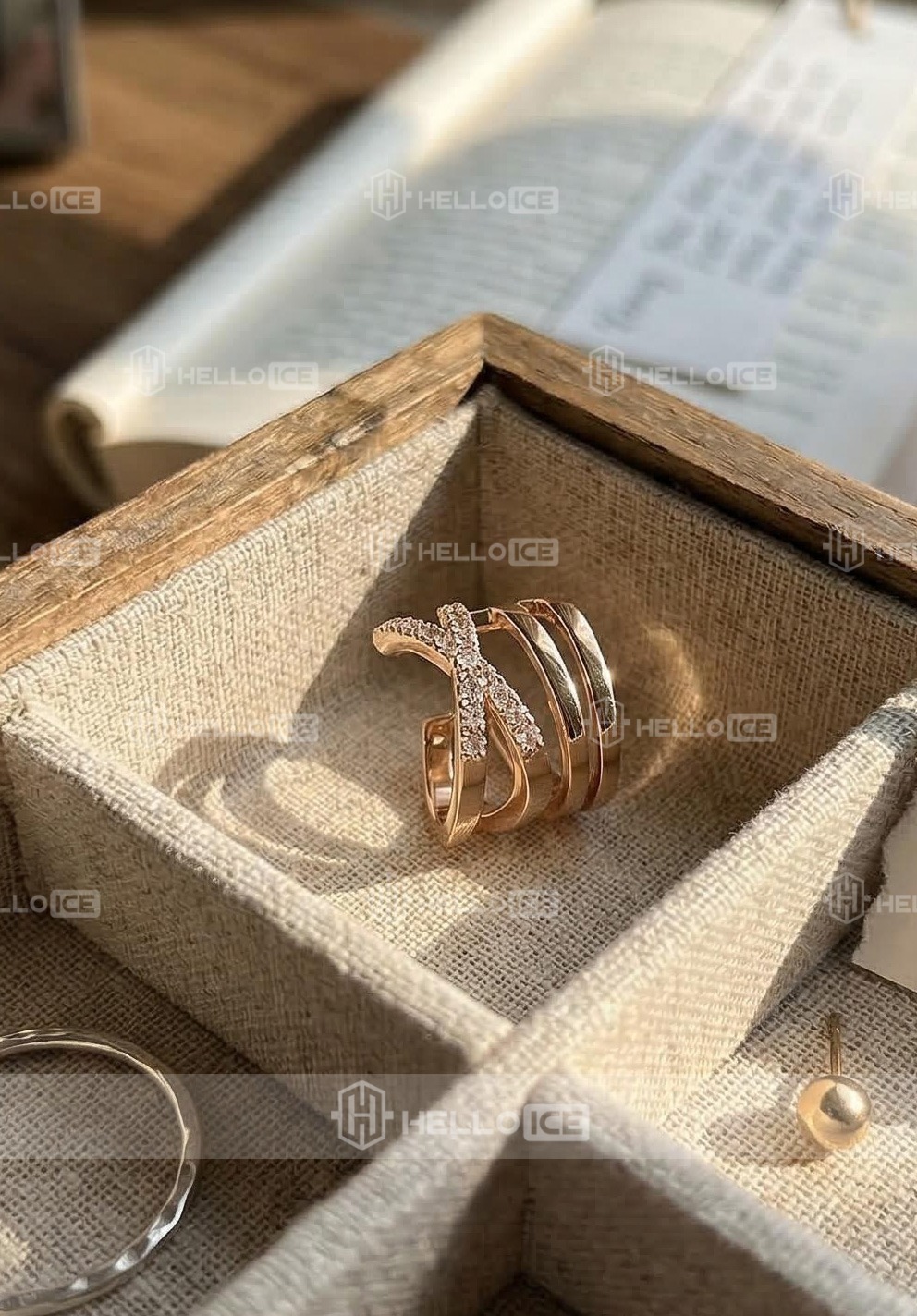 Helloice Review Image