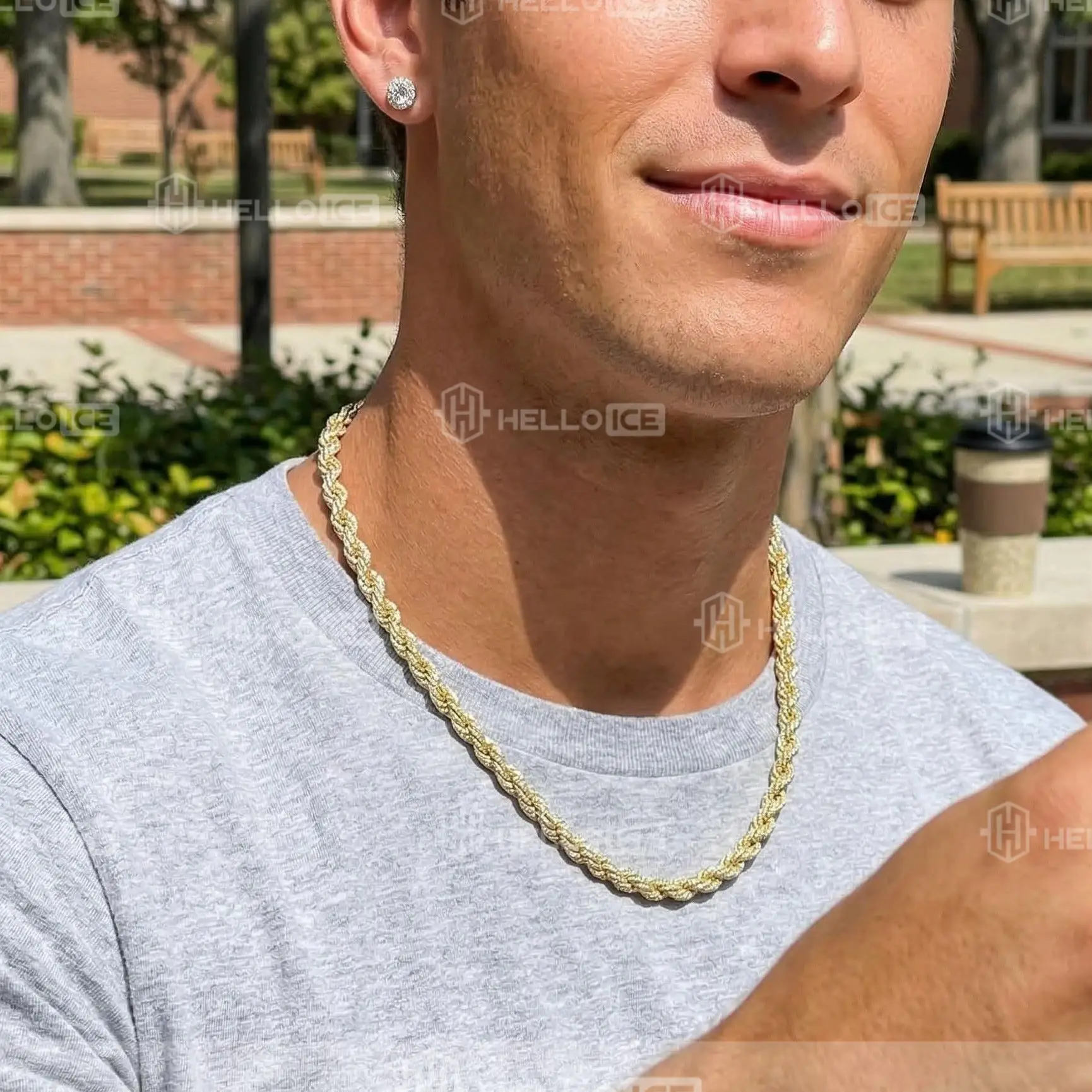 Helloice Review Image