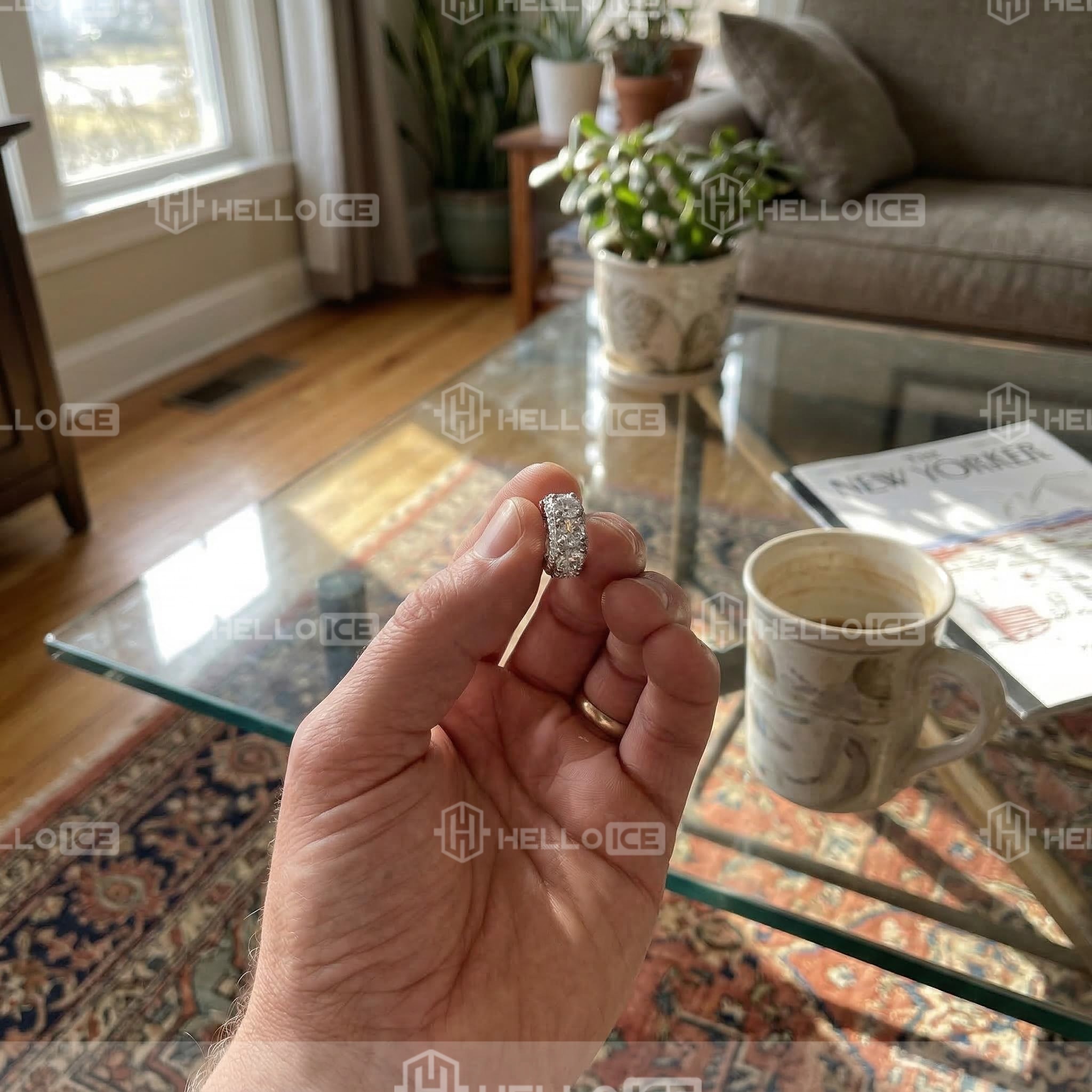 Helloice Review Image