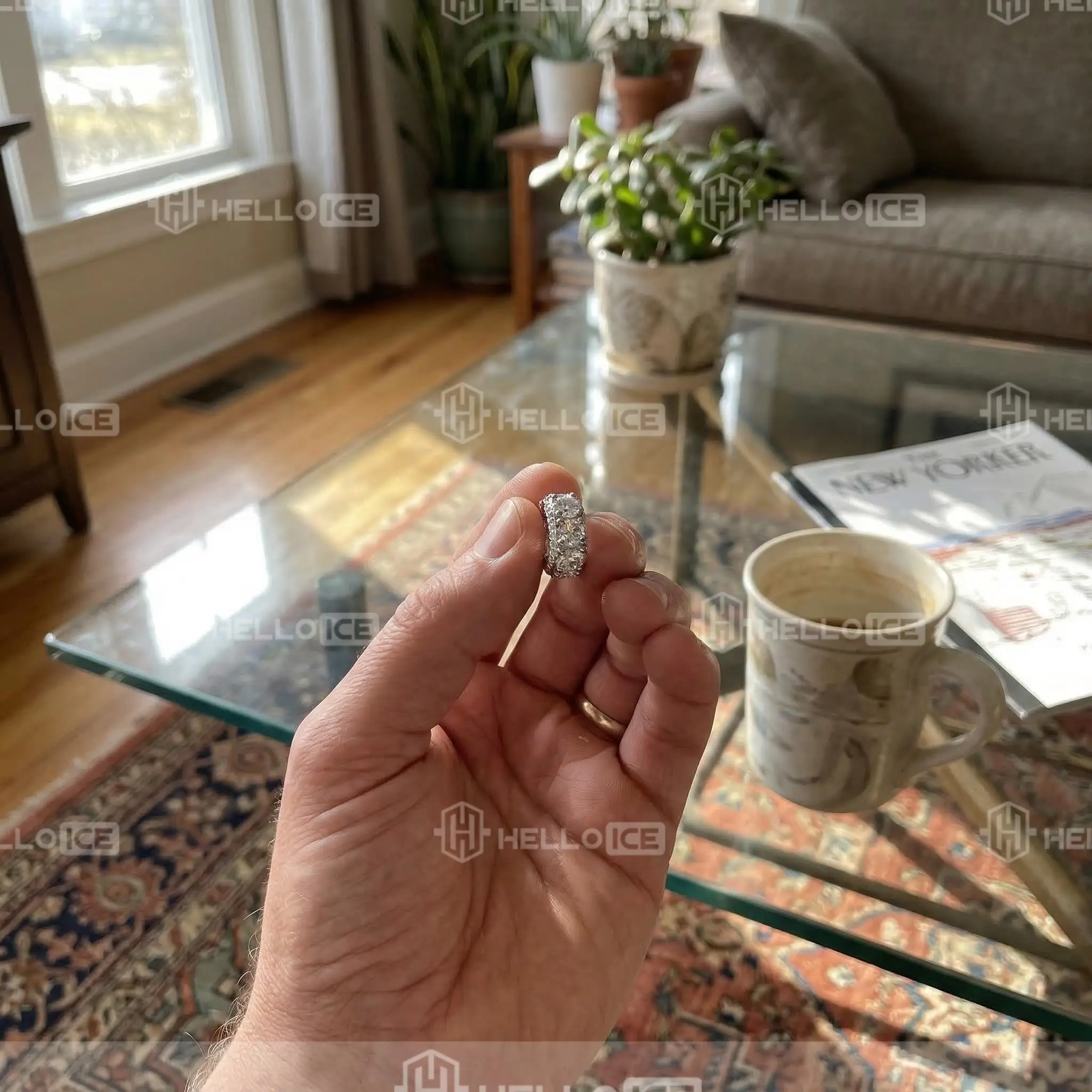 Helloice Review Image