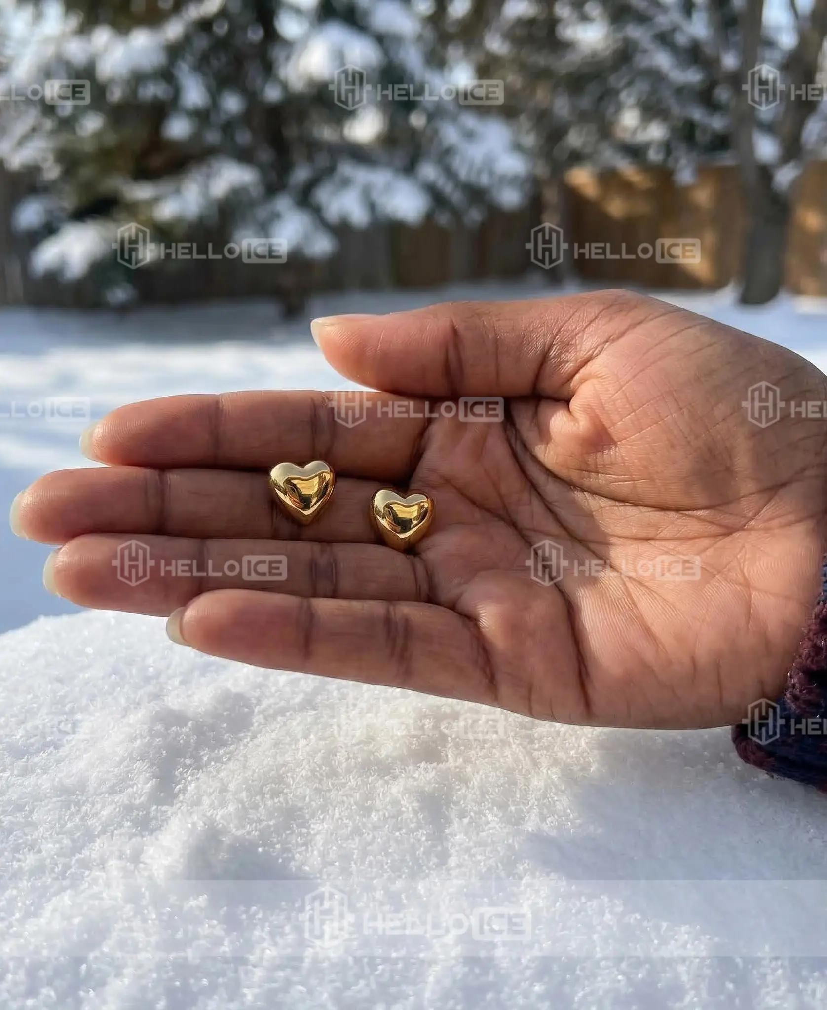 Helloice Review Image