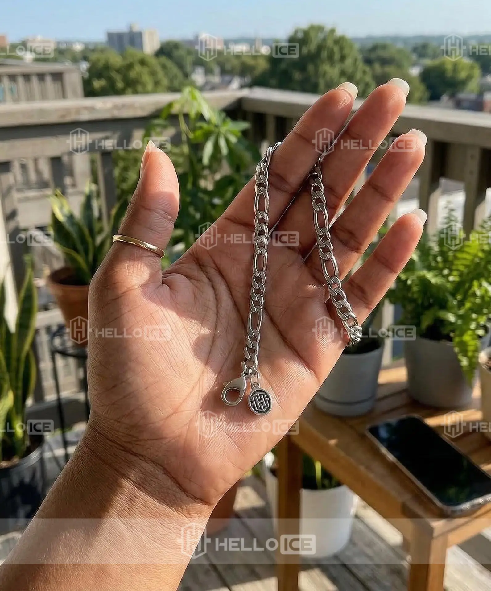 Helloice Review Image